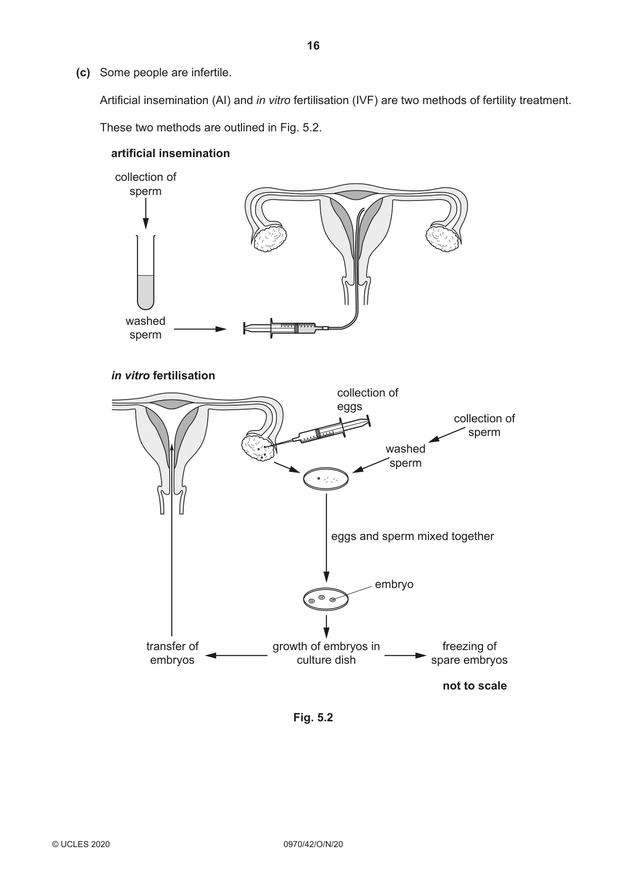 Cambridge IGCSE Biology (9-1) 0970 2020 Oct/Nov Paper 4 · Variant 2 question paper, page 16 of 20
