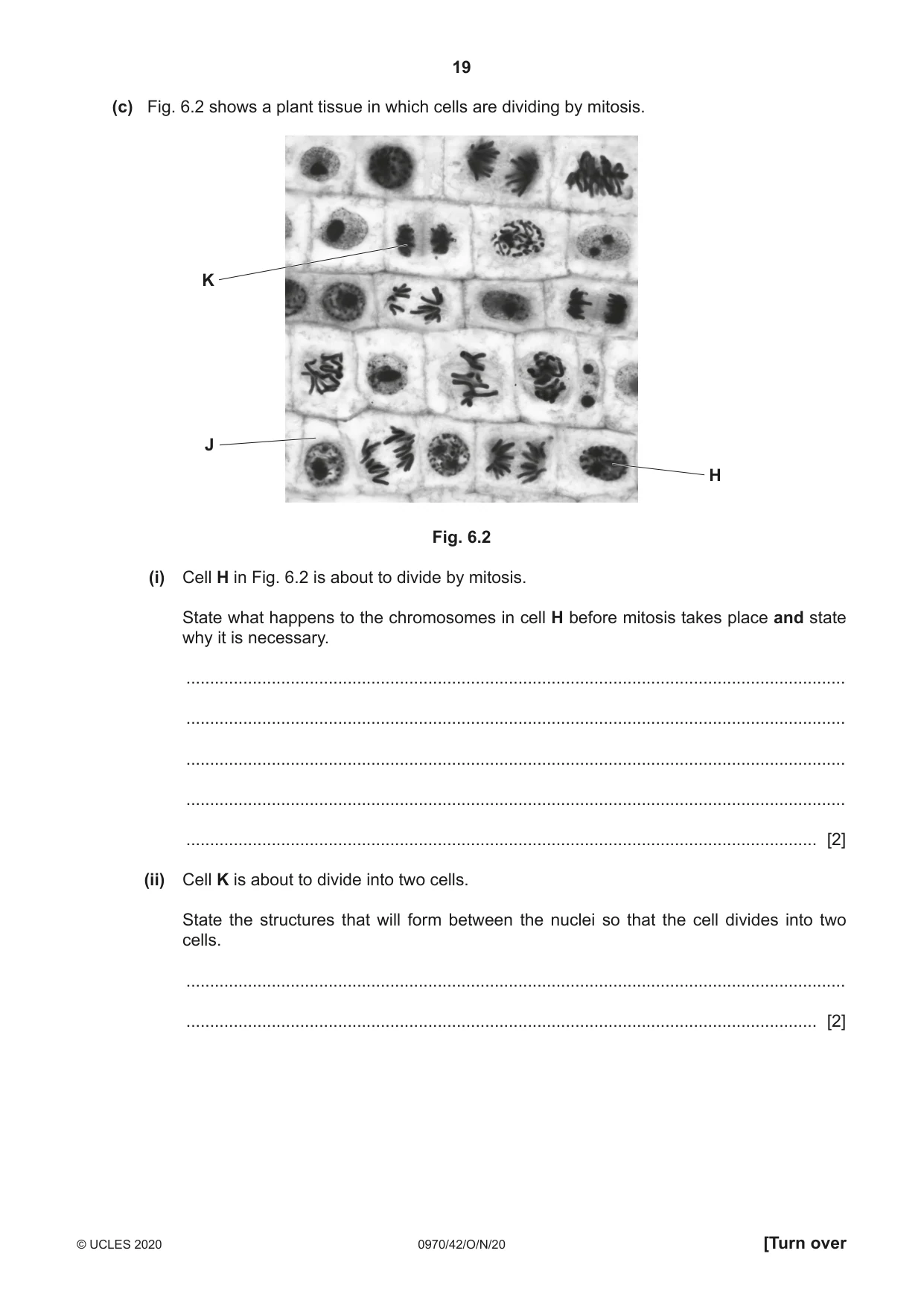 Cambridge IGCSE Biology (9-1) 0970 2020 Oct/Nov Paper 4 · Variant 2 question paper, page 19 of 20