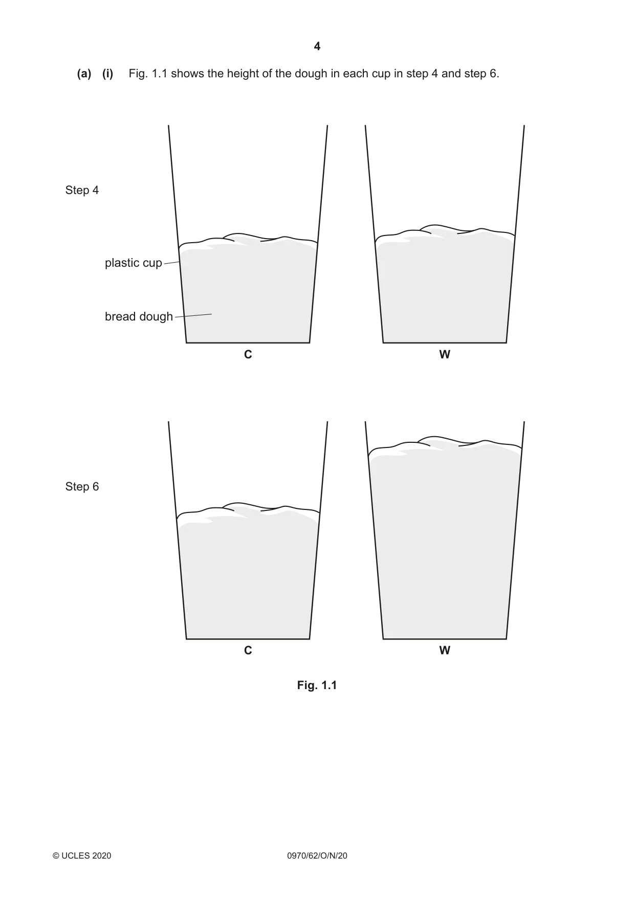 Cambridge IGCSE Biology (9-1) 0970 2020 Oct/Nov Paper 6 · Variant 2 question paper, page 4 of 12