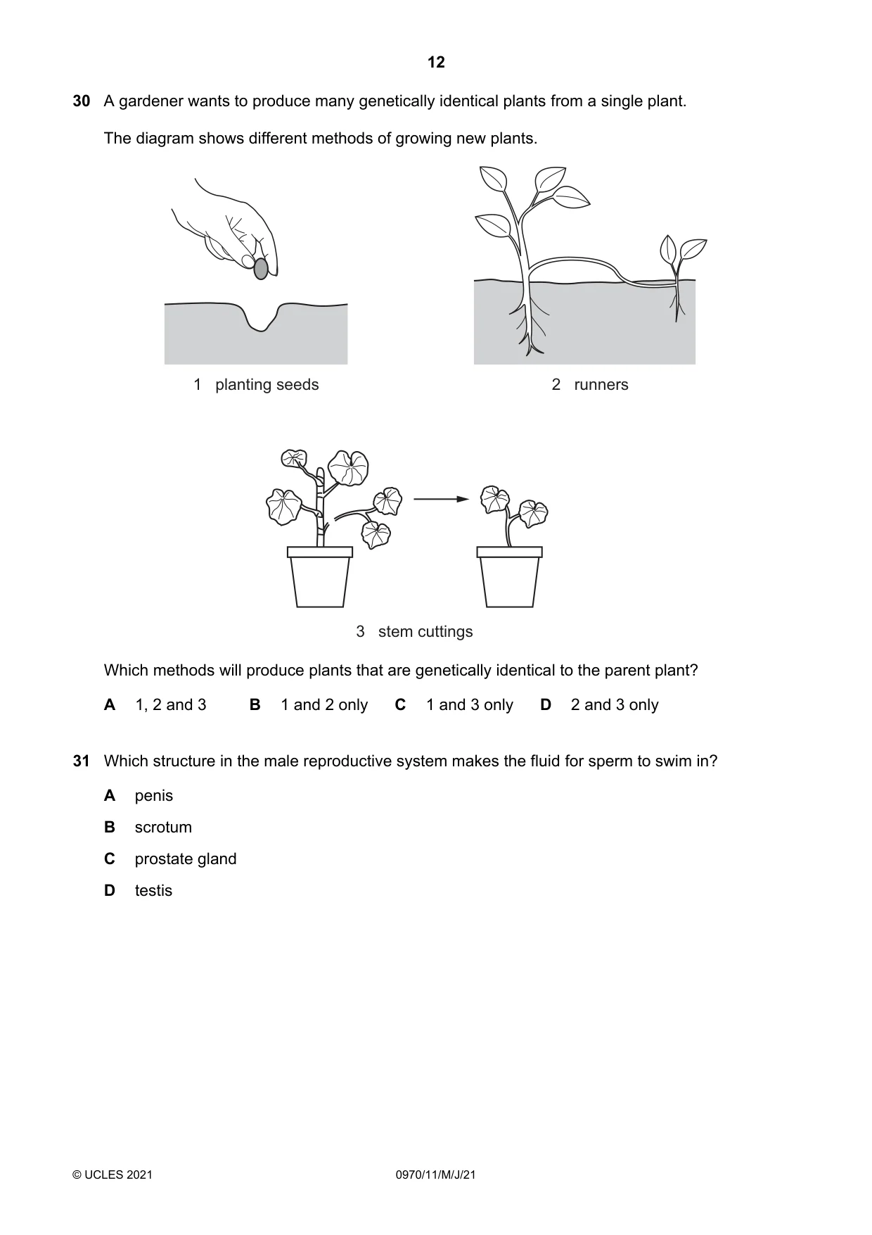 Cambridge IGCSE Biology (9-1) 0970 2021 May/June Paper 1 · Variant 1 question paper, page 12 of 20