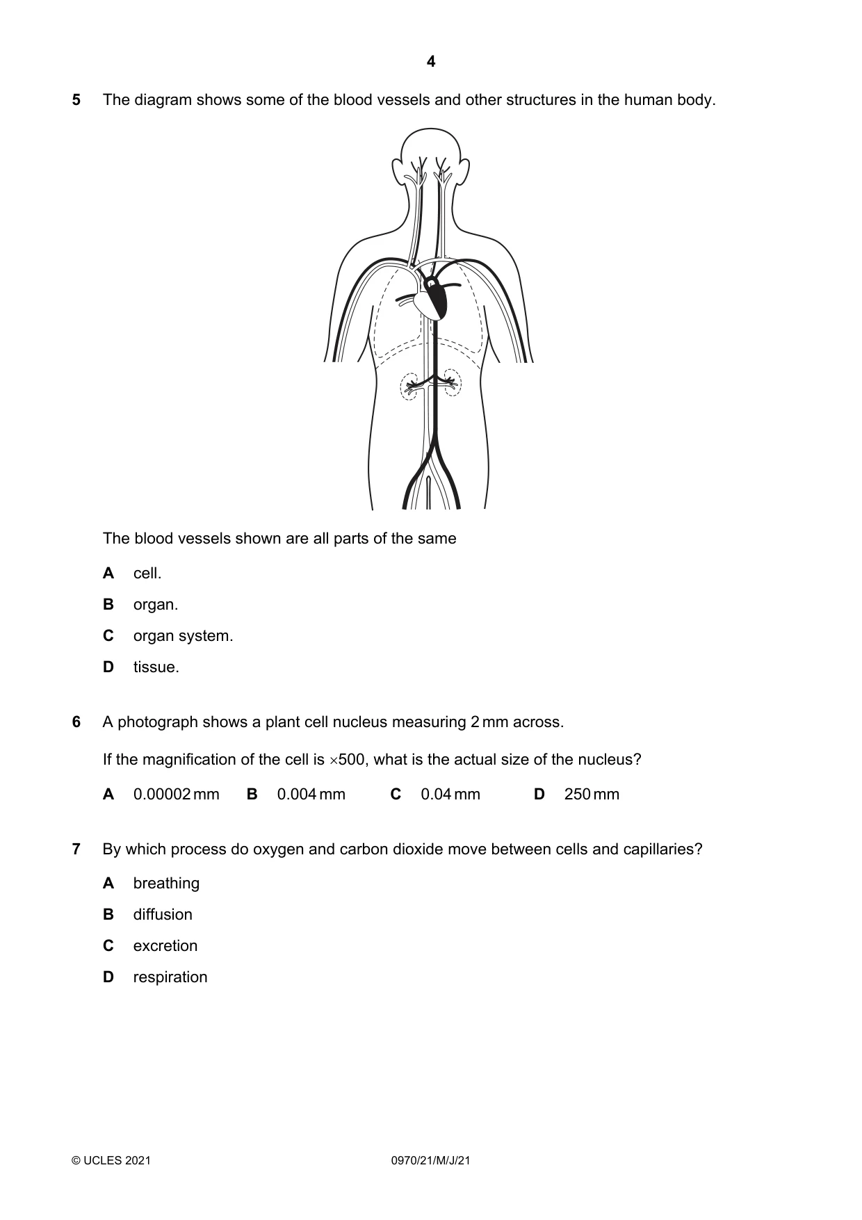 Cambridge IGCSE Biology (9-1) 0970 2021 May/June Paper 2 · Variant 1 question paper, page 4 of 16