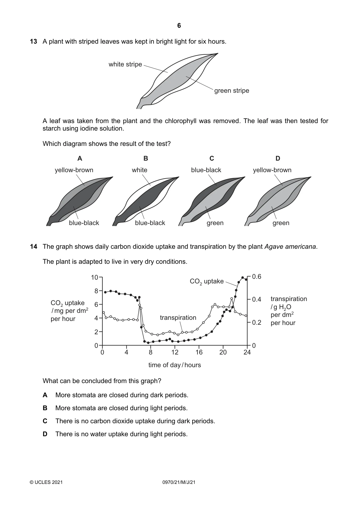 Cambridge IGCSE Biology (9-1) 0970 2021 May/June Paper 2 · Variant 1 question paper, page 6 of 16