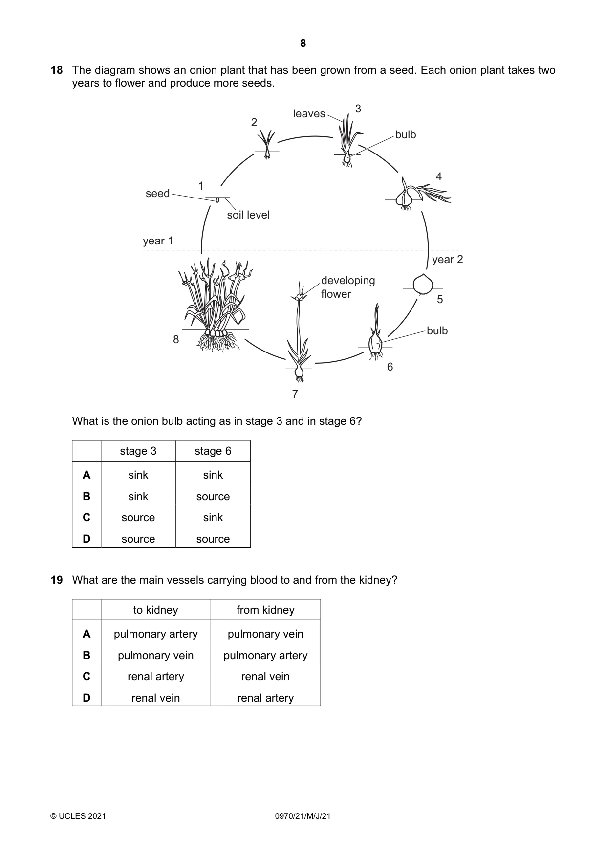 Cambridge IGCSE Biology (9-1) 0970 2021 May/June Paper 2 · Variant 1 question paper, page 8 of 16