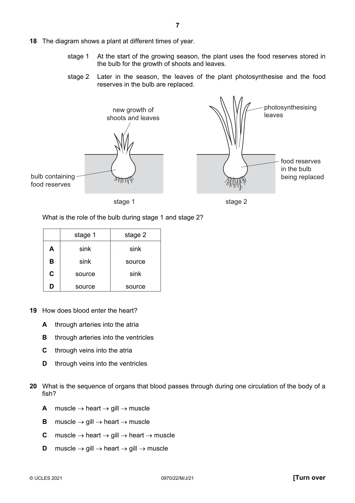 Cambridge IGCSE Biology (9-1) 0970 2021 May/June Paper 2 · Variant 2 question paper, page 7 of 16