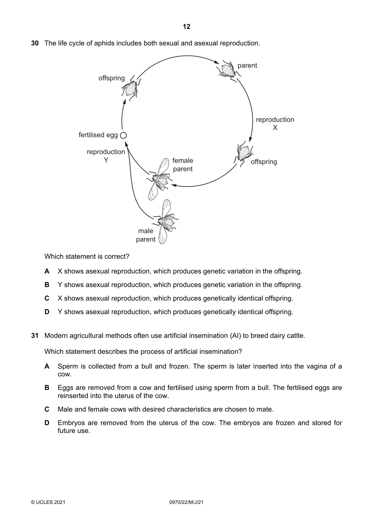 Cambridge IGCSE Biology (9-1) 0970 2021 May/June Paper 2 · Variant 2 question paper, page 12 of 16