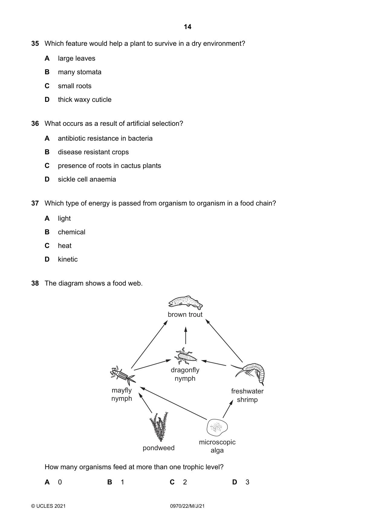 Cambridge IGCSE Biology (9-1) 0970 2021 May/June Paper 2 · Variant 2 question paper, page 14 of 16
