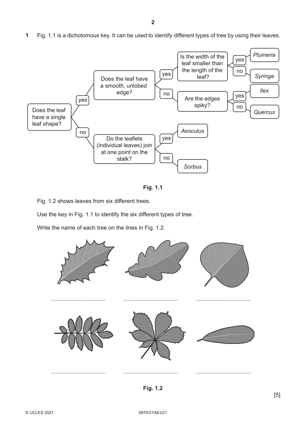 Cambridge IGCSE Biology (9-1) 0970 2021 May/June Paper 3 · Variant 1 question paper, page 2 of 20