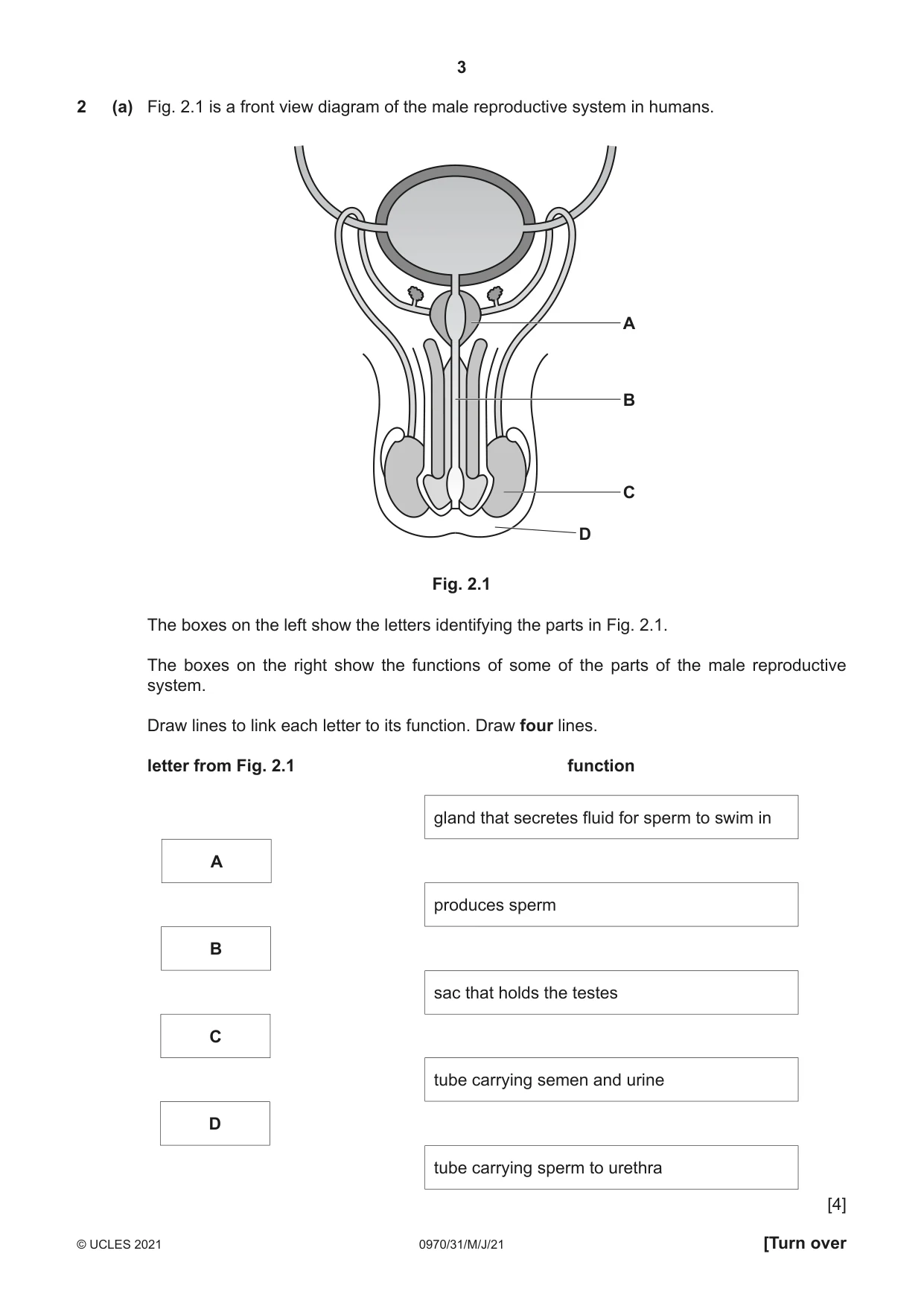Cambridge IGCSE Biology (9-1) 0970 2021 May/June Paper 3 · Variant 1 question paper, page 3 of 20