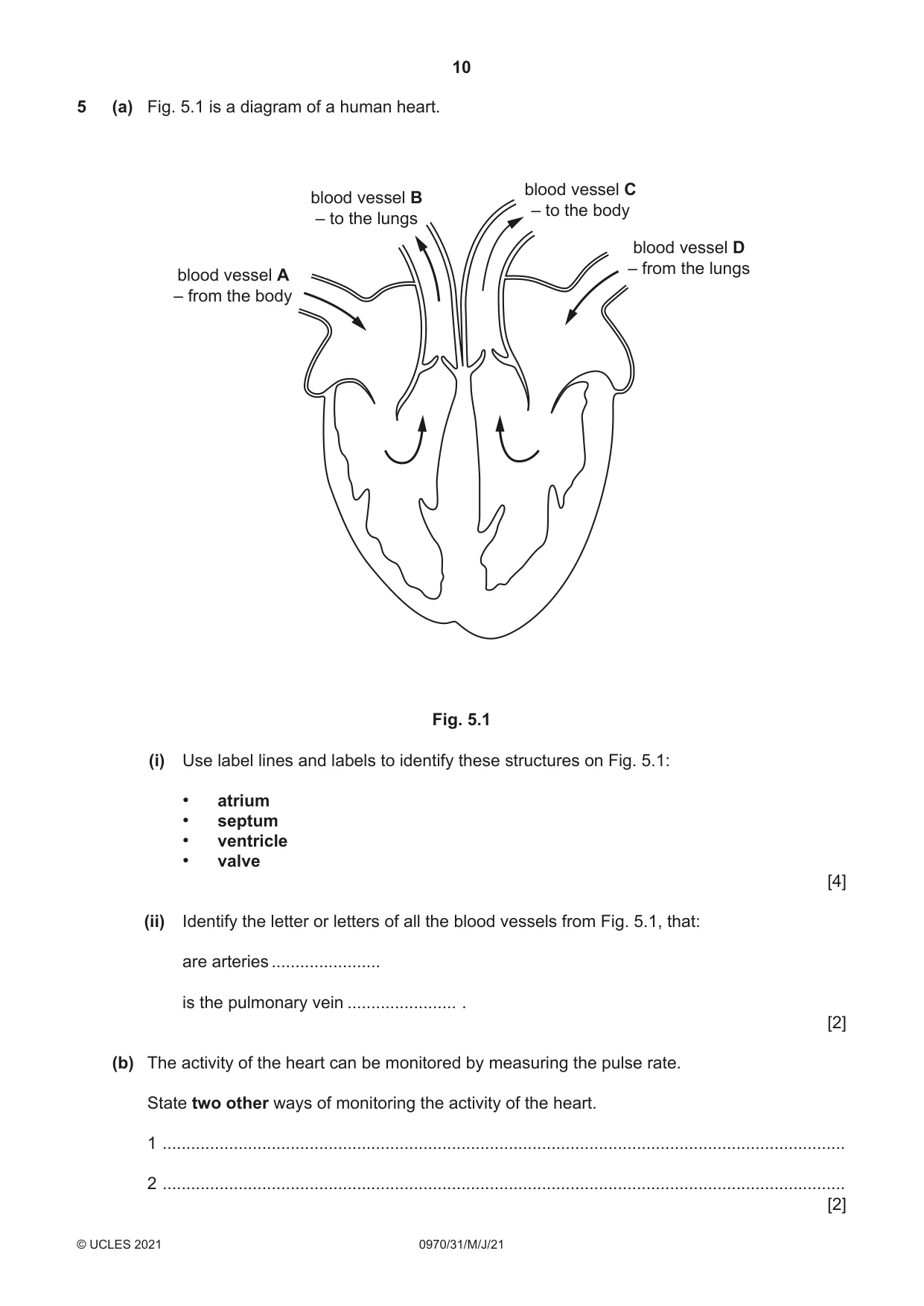 Cambridge IGCSE Biology (9-1) 0970 2021 May/June Paper 3 · Variant 1 question paper, page 10 of 20