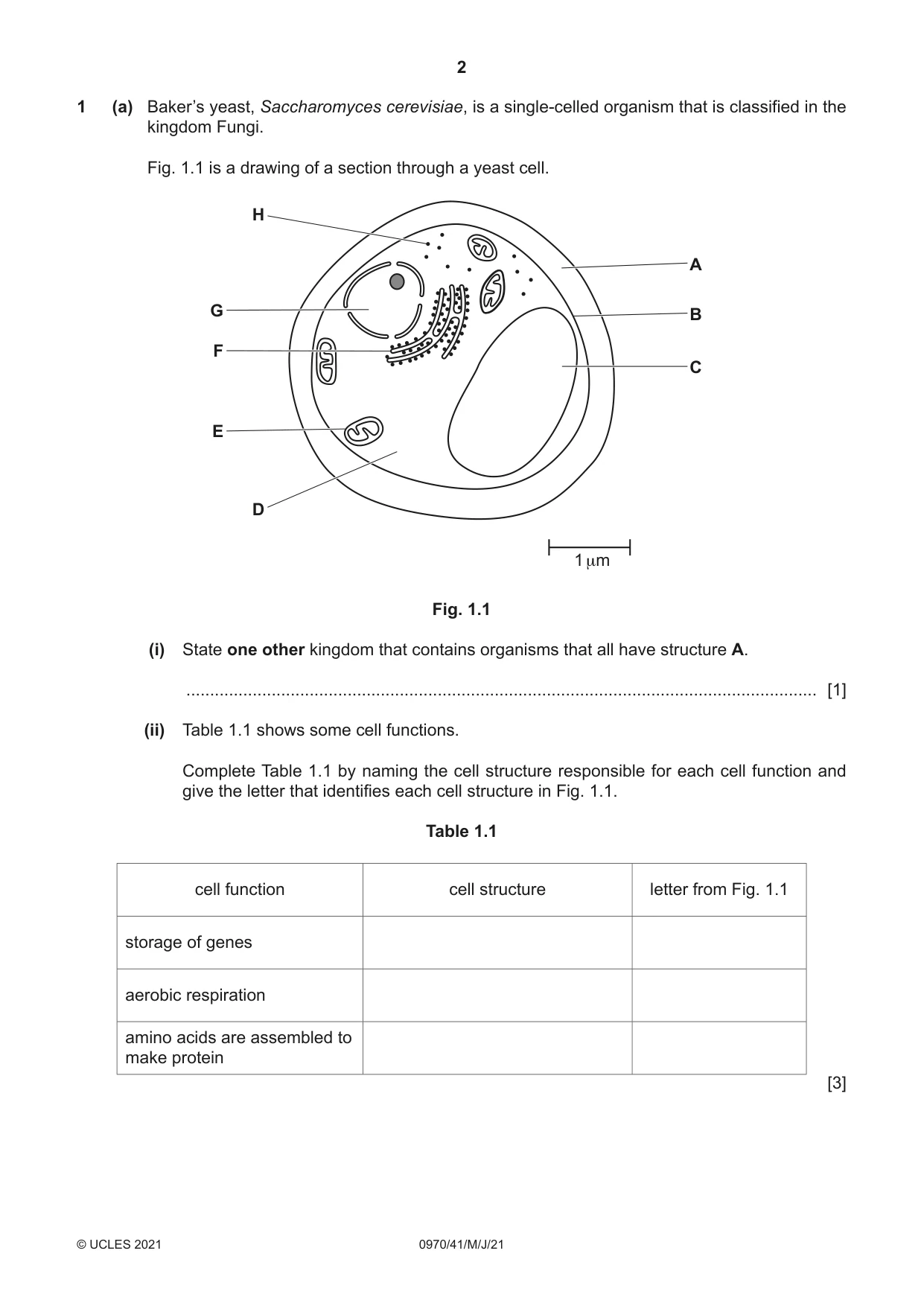 Cambridge IGCSE Biology (9-1) 0970 2021 May/June Paper 4 · Variant 1 question paper, page 2 of 20