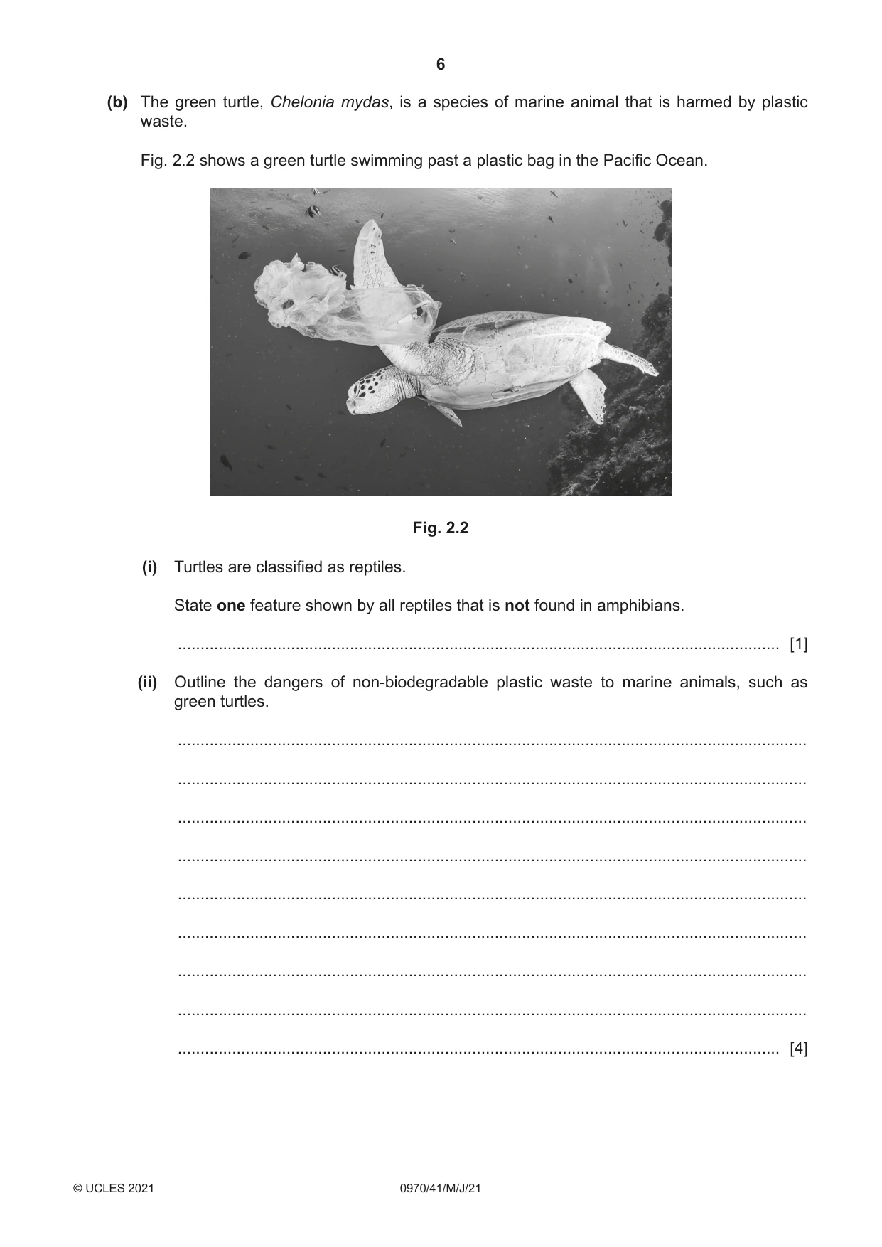 Cambridge IGCSE Biology (9-1) 0970 2021 May/June Paper 4 · Variant 1 question paper, page 6 of 20