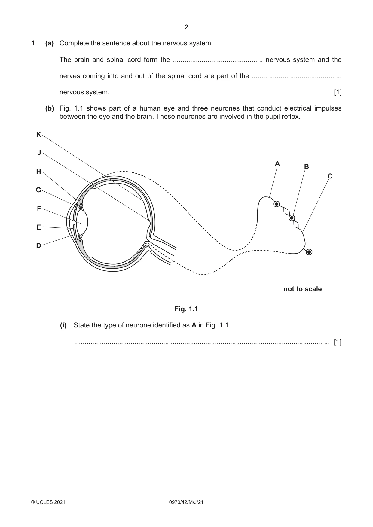 Cambridge IGCSE Biology (9-1) 0970 2021 May/June Paper 4 · Variant 2 question paper, page 2 of 20