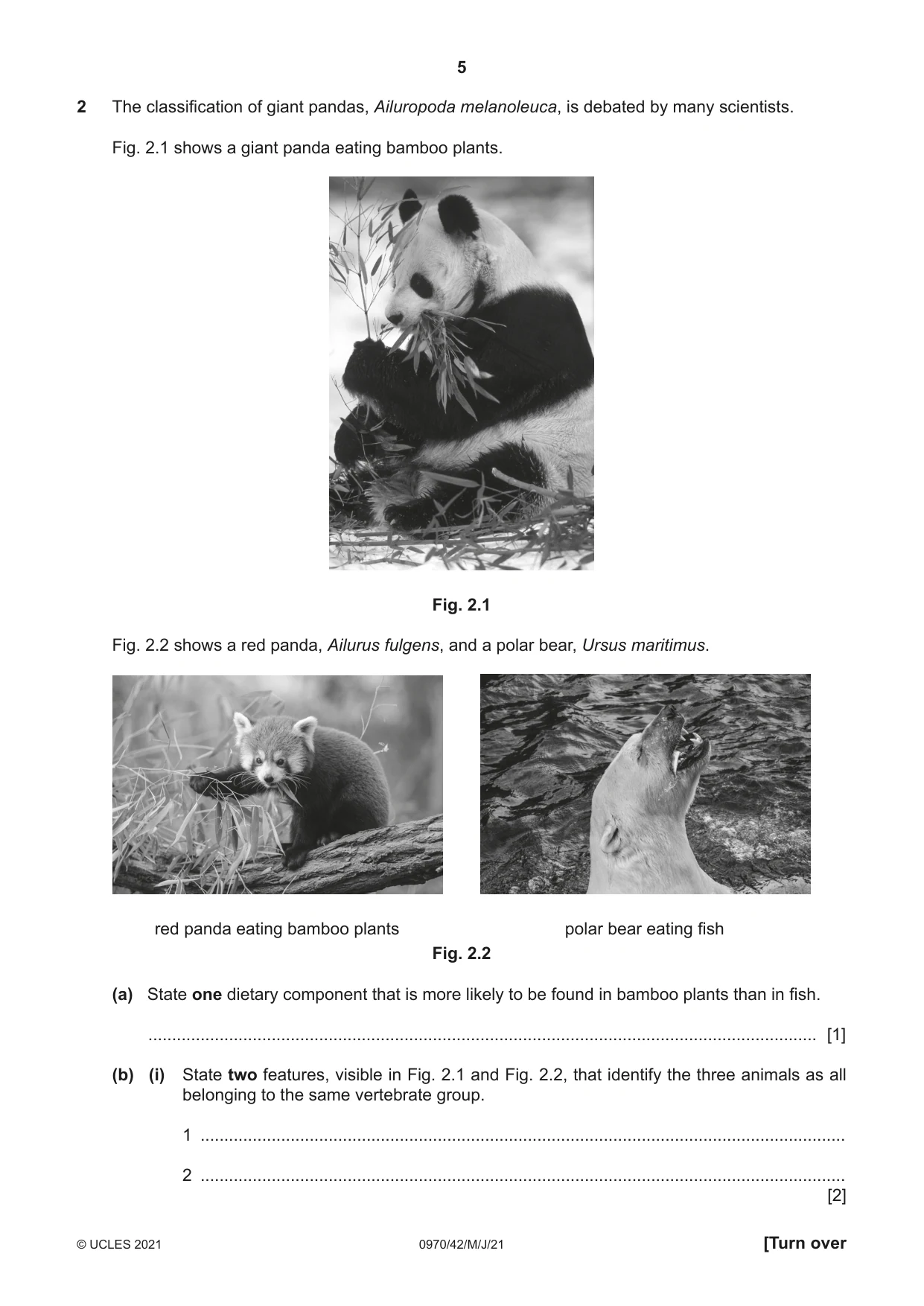 Cambridge IGCSE Biology (9-1) 0970 2021 May/June Paper 4 · Variant 2 question paper, page 5 of 20
