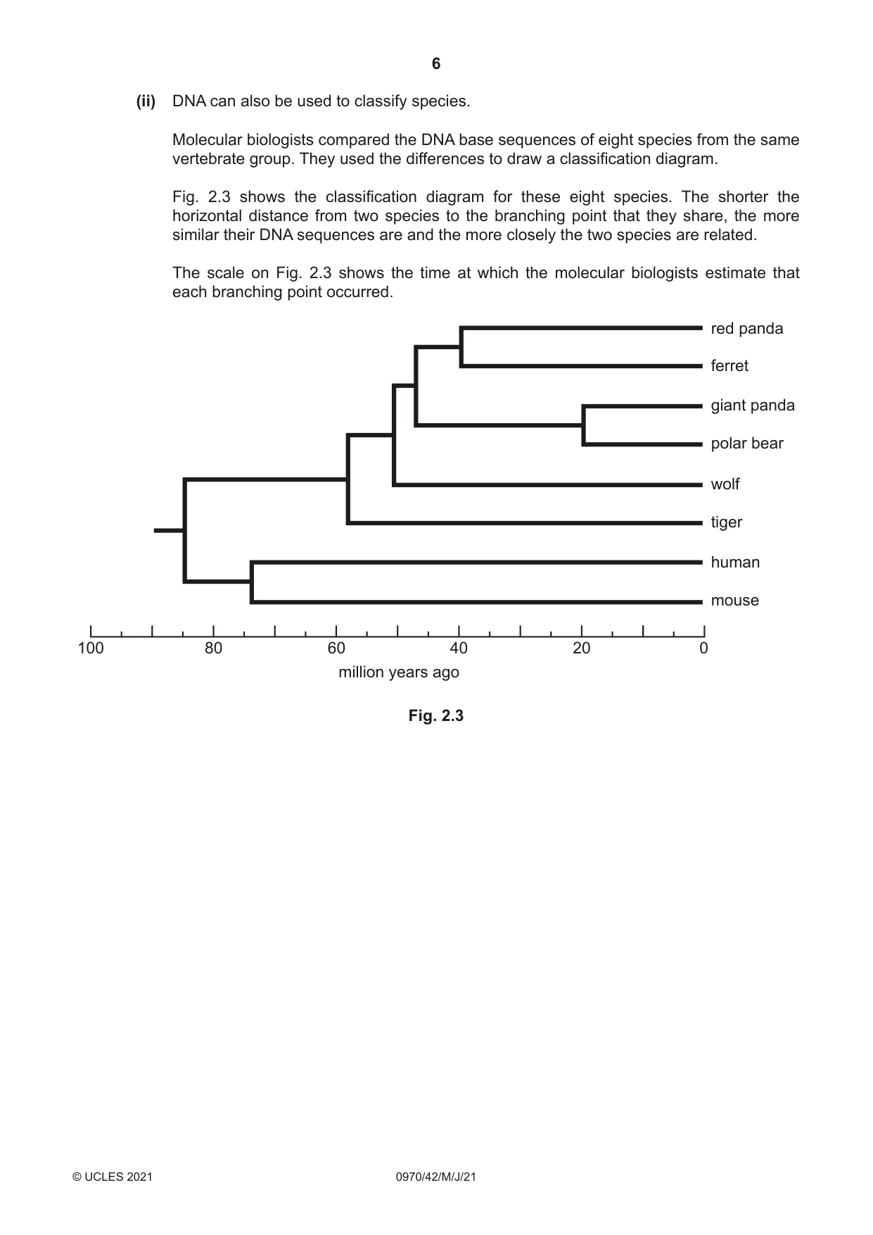 Cambridge IGCSE Biology (9-1) 0970 2021 May/June Paper 4 · Variant 2 question paper, page 6 of 20