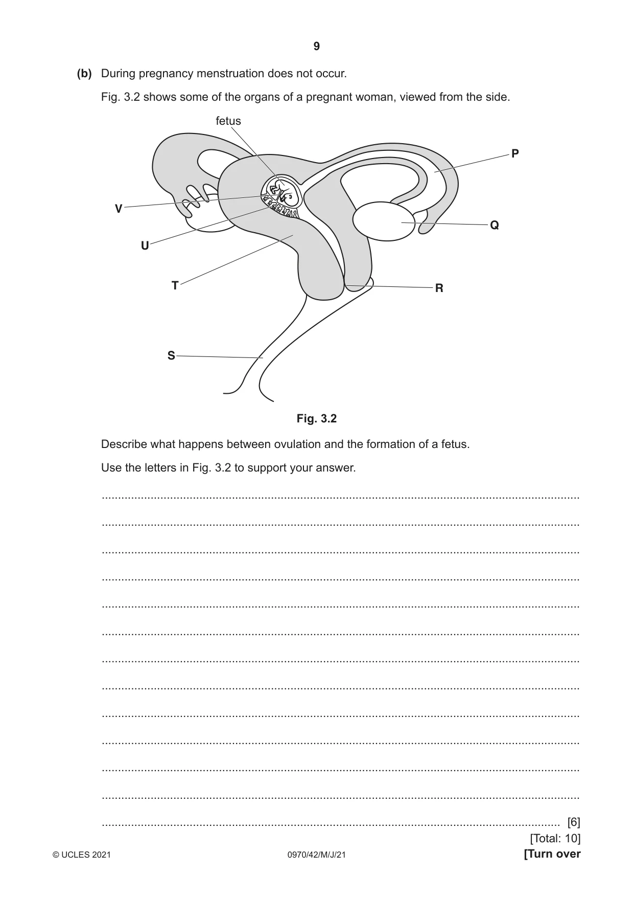 Cambridge IGCSE Biology (9-1) 0970 2021 May/June Paper 4 · Variant 2 question paper, page 9 of 20