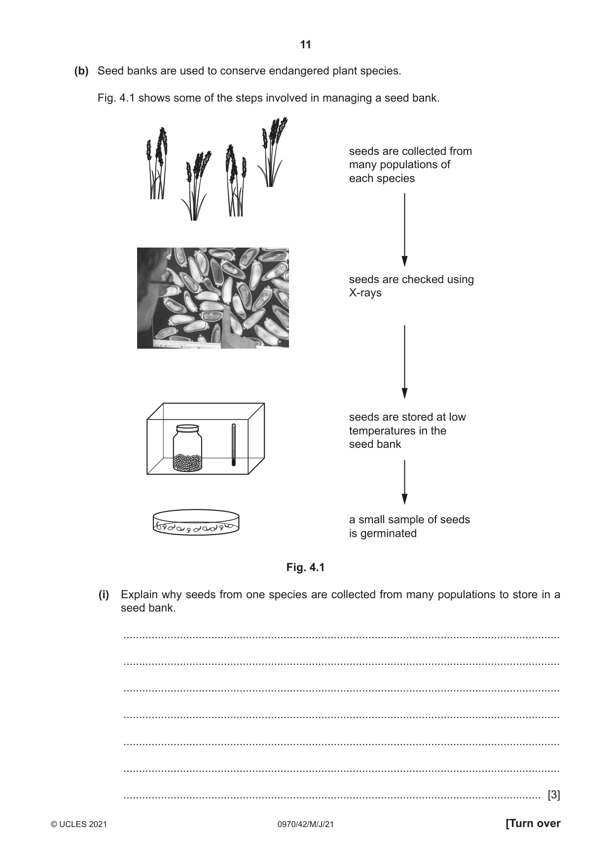 Cambridge IGCSE Biology (9-1) 0970 2021 May/June Paper 4 · Variant 2 question paper, page 11 of 20