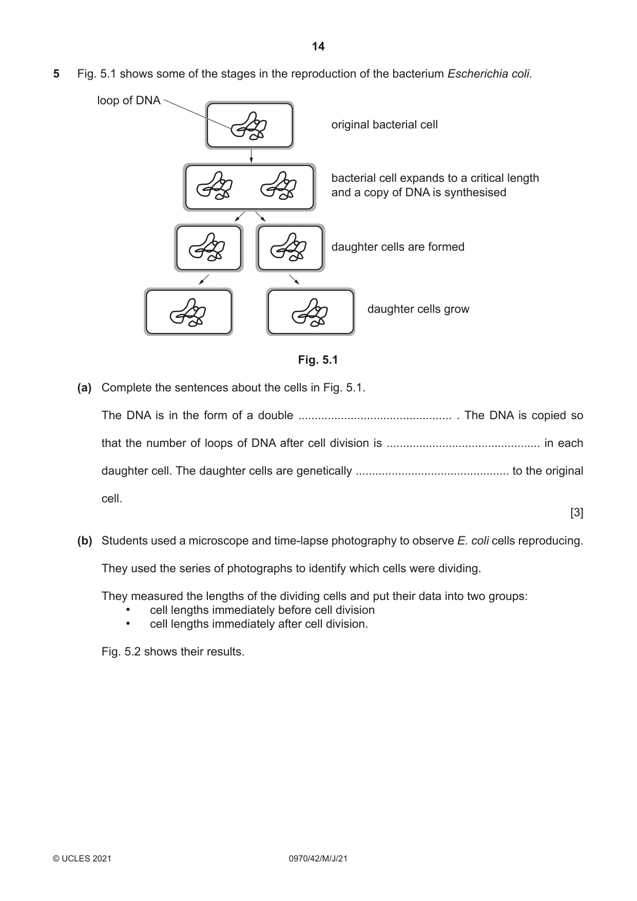 Cambridge IGCSE Biology (9-1) 0970 2021 May/June Paper 4 · Variant 2 question paper, page 14 of 20