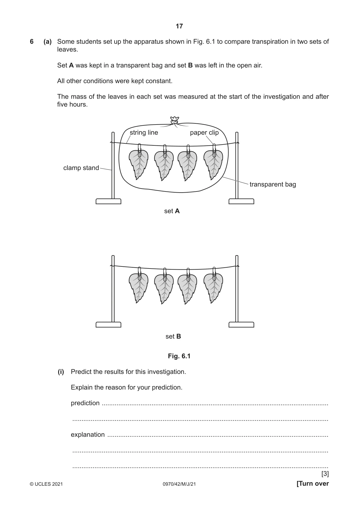 Cambridge IGCSE Biology (9-1) 0970 2021 May/June Paper 4 · Variant 2 question paper, page 17 of 20