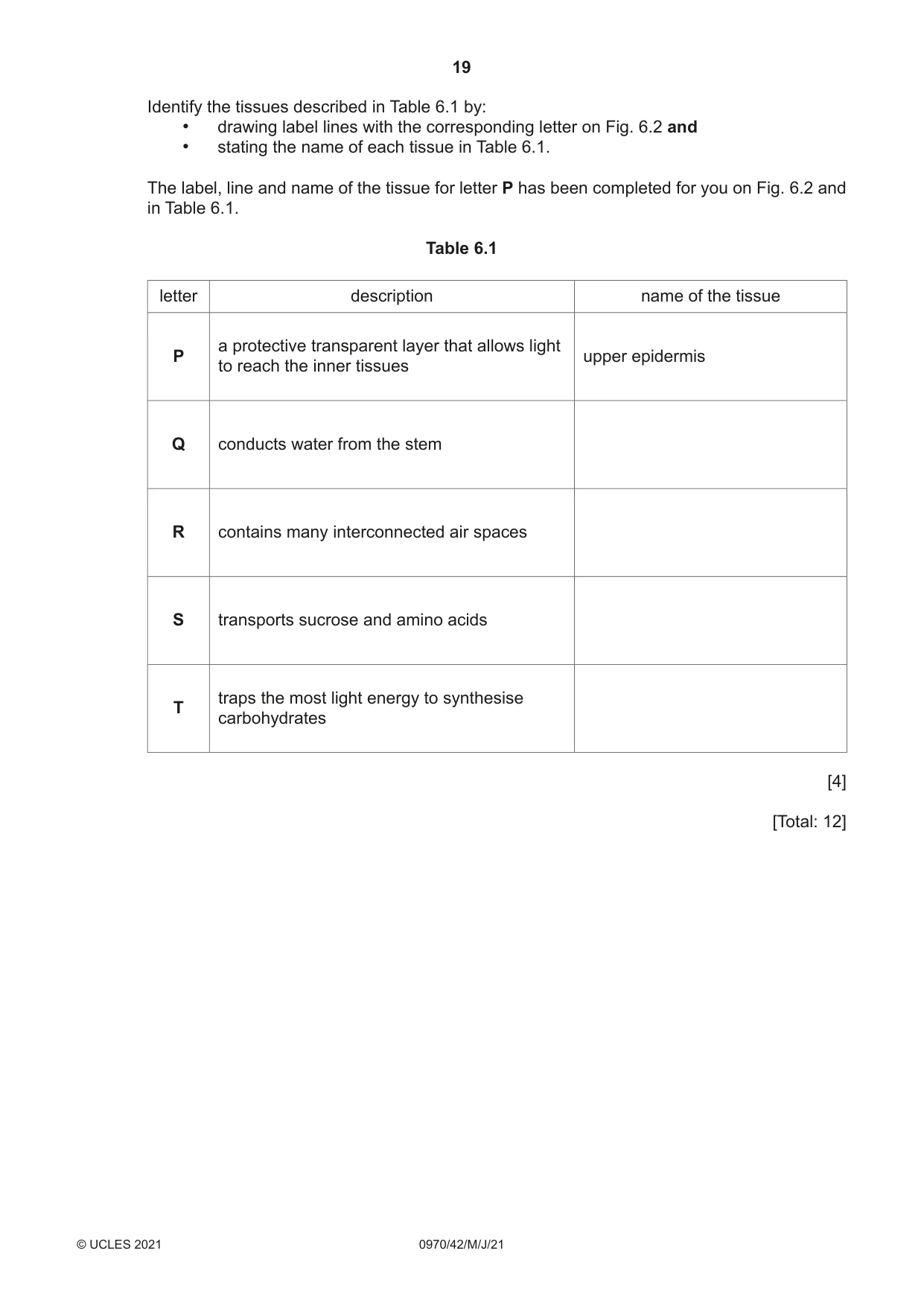 Cambridge IGCSE Biology (9-1) 0970 2021 May/June Paper 4 · Variant 2 question paper, page 19 of 20