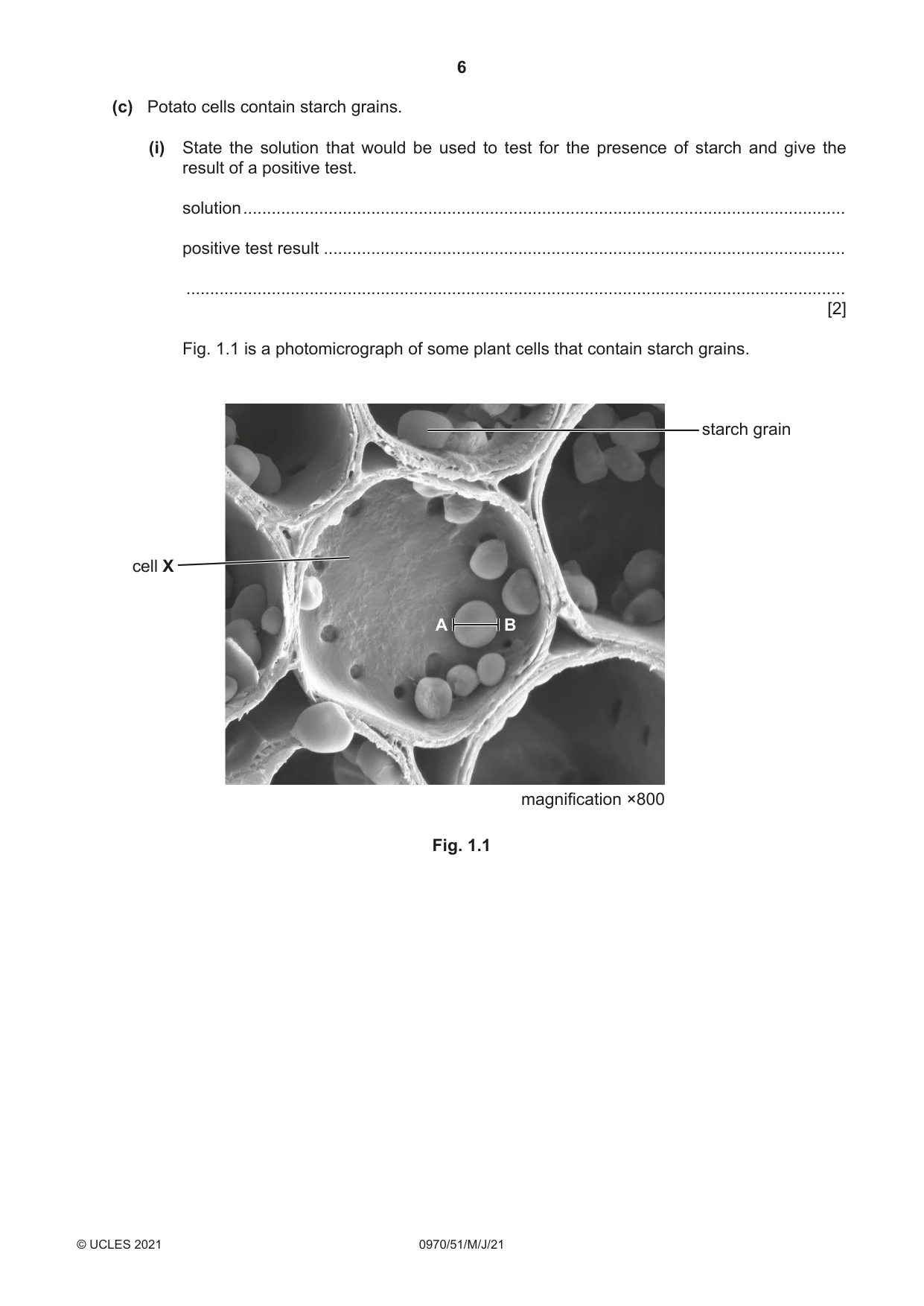 Cambridge IGCSE Biology (9-1) 0970 2021 May/June Paper 5 · Variant 1 question paper, page 6 of 12