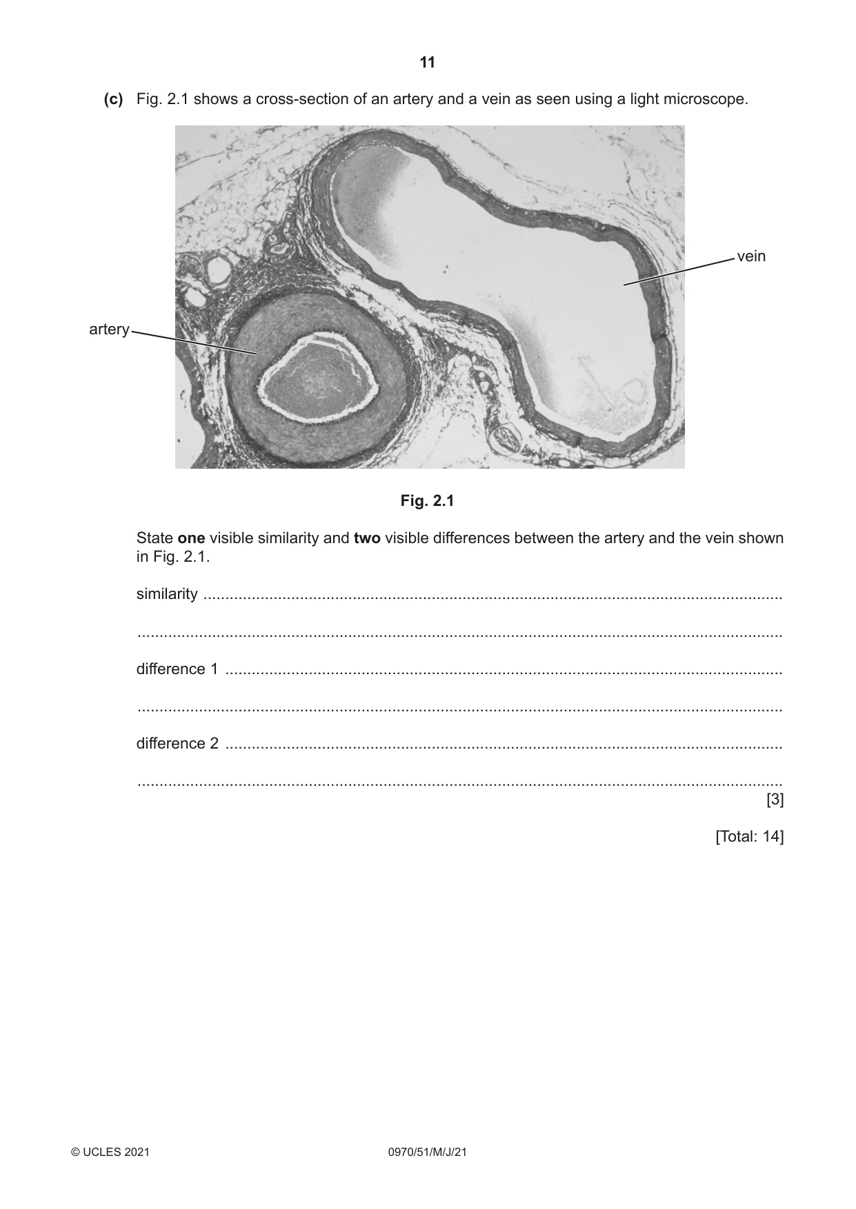 Cambridge IGCSE Biology (9-1) 0970 2021 May/June Paper 5 · Variant 1 question paper, page 11 of 12
