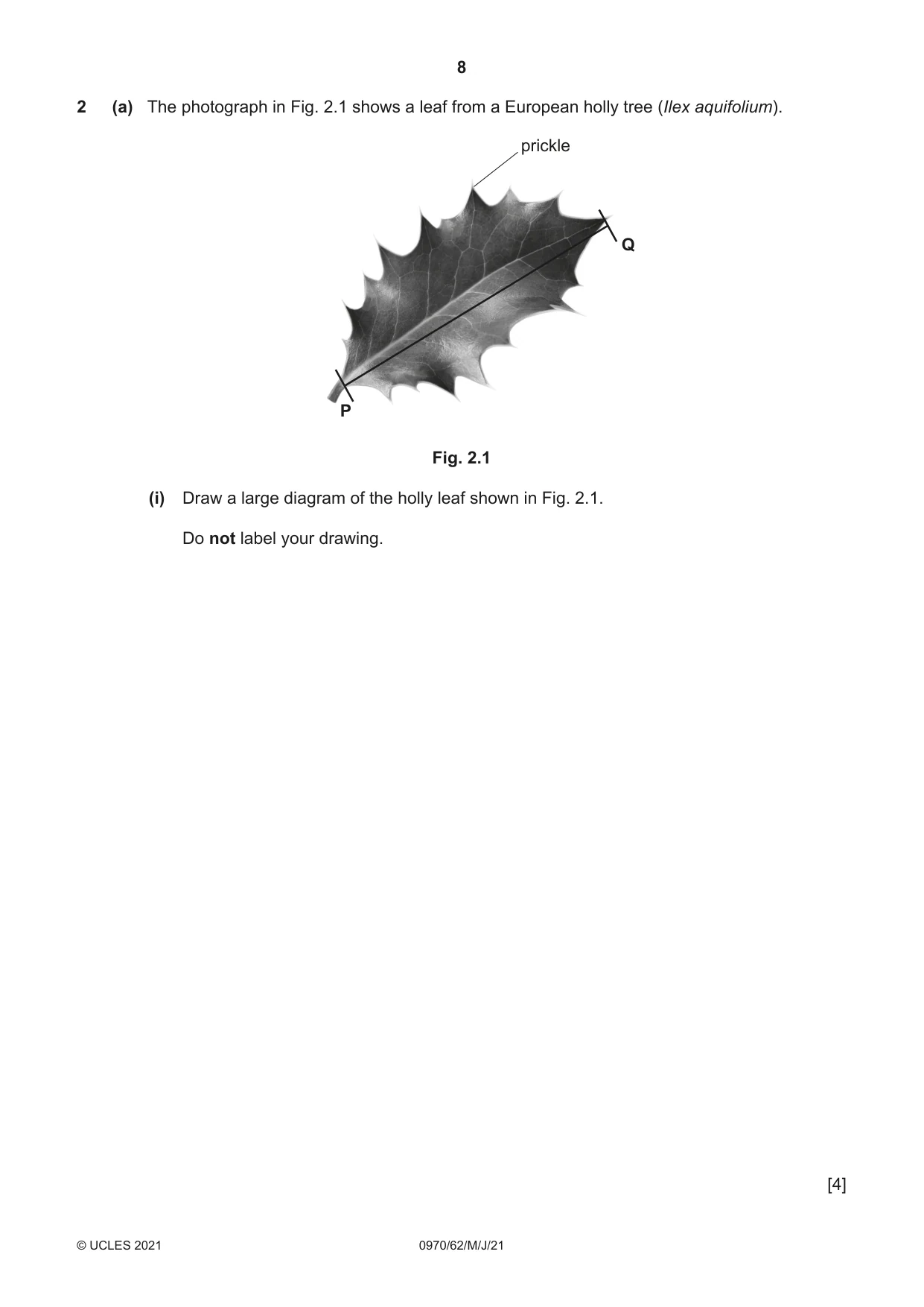 Cambridge IGCSE Biology (9-1) 0970 2021 May/June Paper 6 · Variant 2 question paper, page 8 of 12