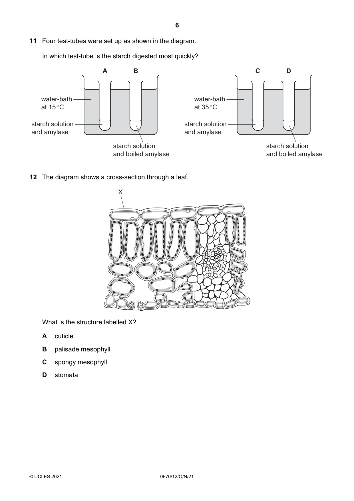 Cambridge IGCSE Biology (9-1) 0970 2021 Oct/Nov Paper 1 · Variant 2 question paper, page 6 of 16