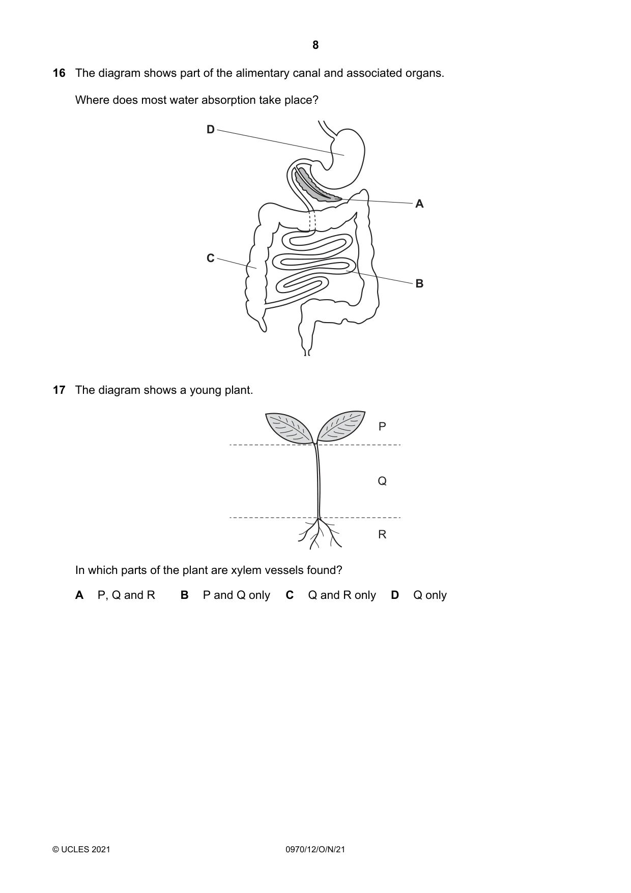 Cambridge IGCSE Biology (9-1) 0970 2021 Oct/Nov Paper 1 · Variant 2 question paper, page 8 of 16