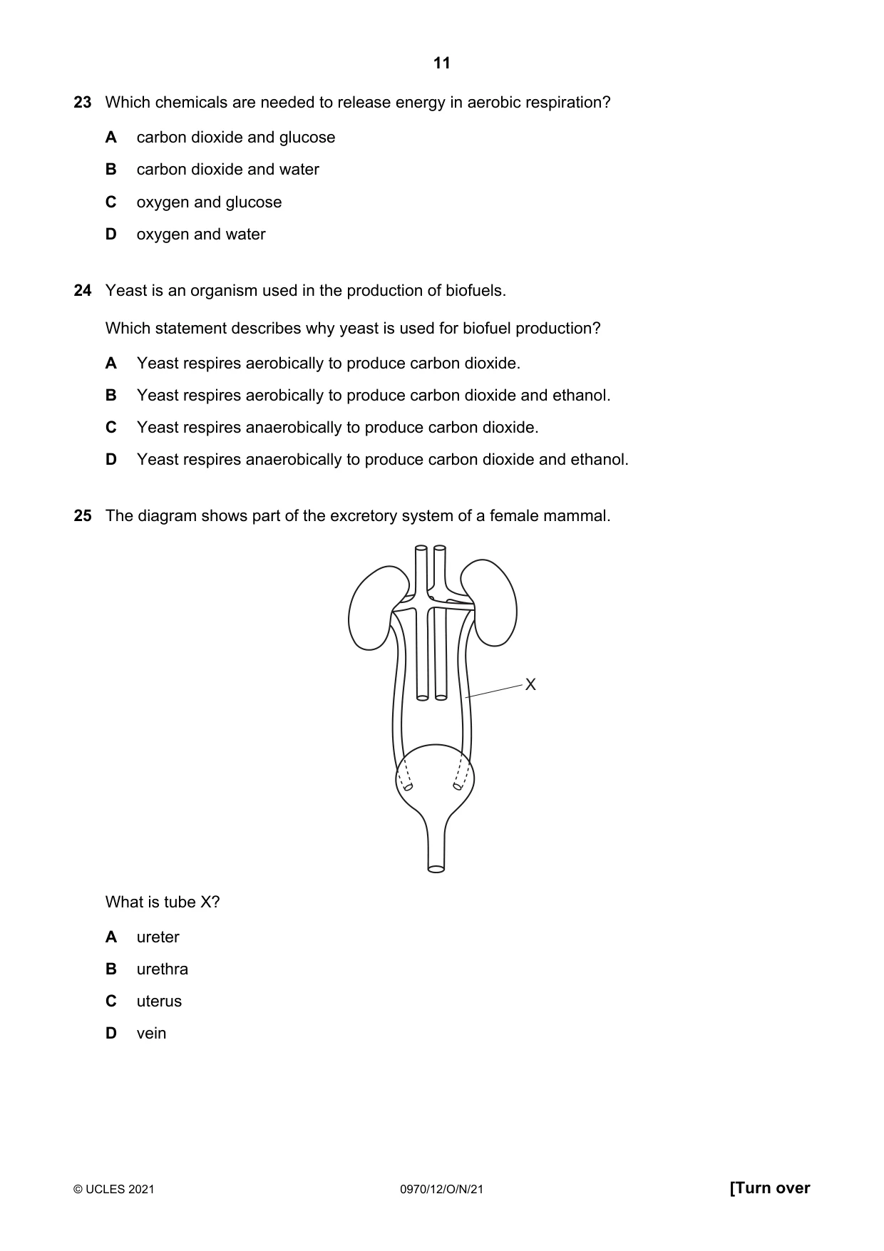 Cambridge IGCSE Biology (9-1) 0970 2021 Oct/Nov Paper 1 · Variant 2 question paper, page 11 of 16