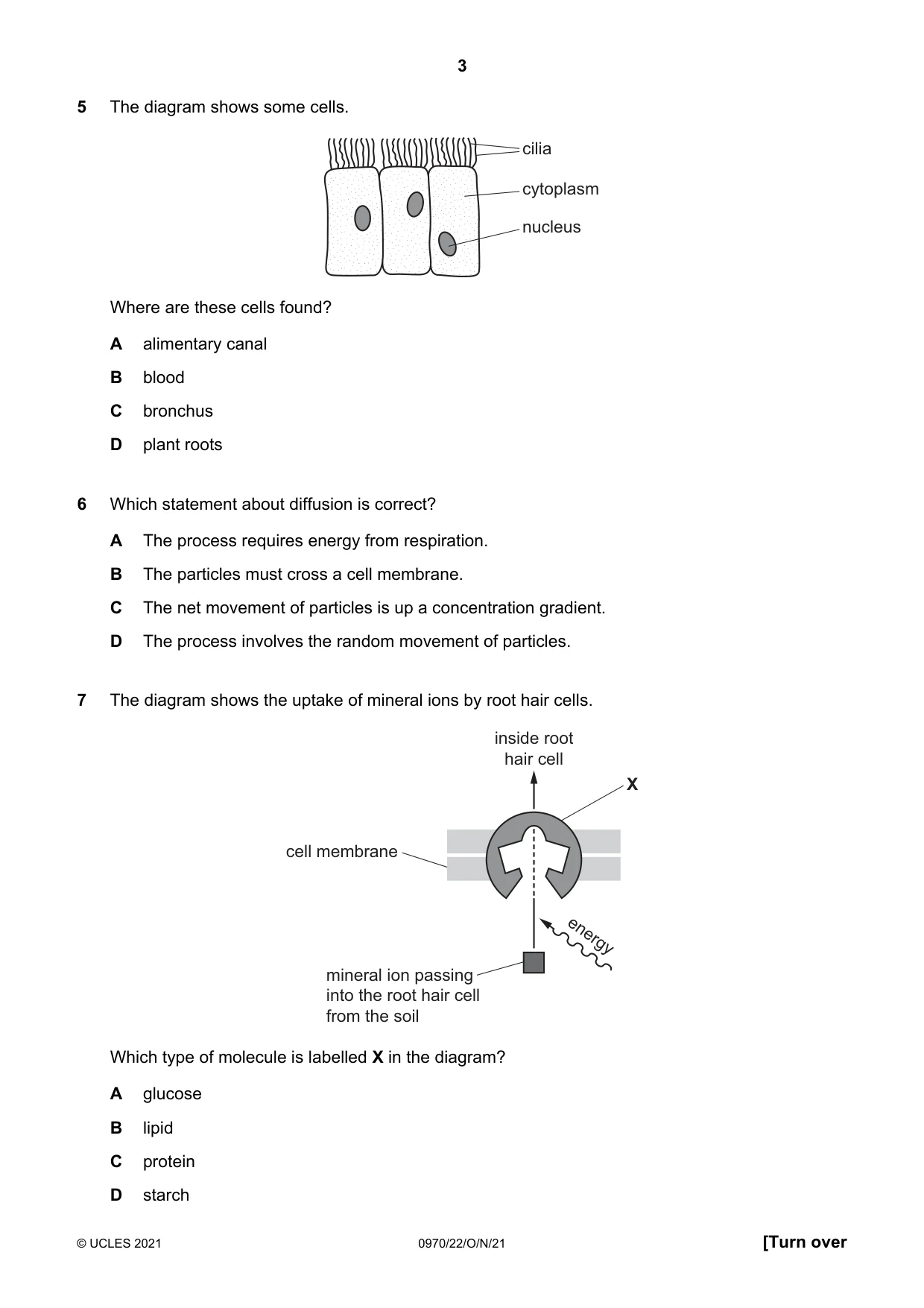 Cambridge IGCSE Biology (9-1) 0970 2021 Oct/Nov Paper 2 · Variant 2 question paper, page 3 of 16