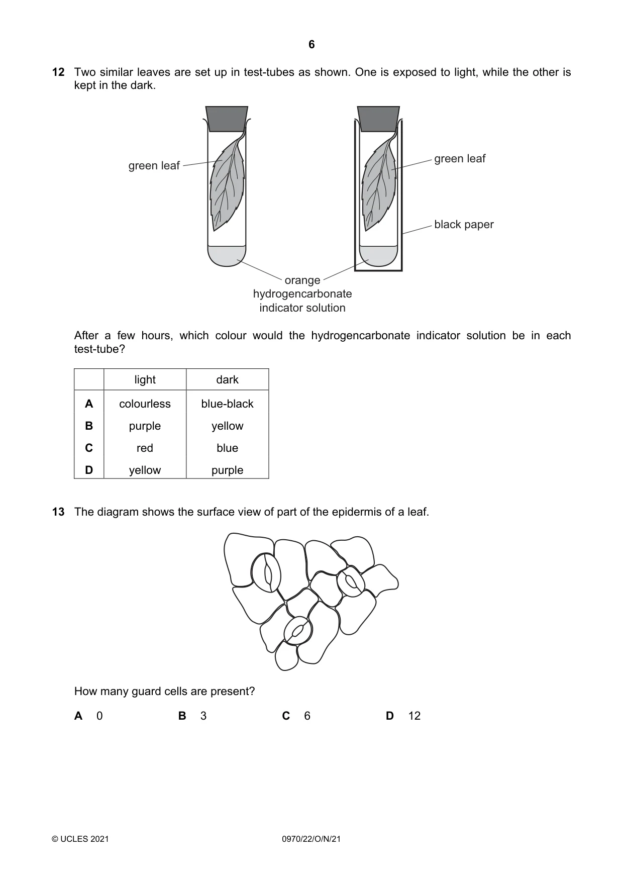 Cambridge IGCSE Biology (9-1) 0970 2021 Oct/Nov Paper 2 · Variant 2 question paper, page 6 of 16