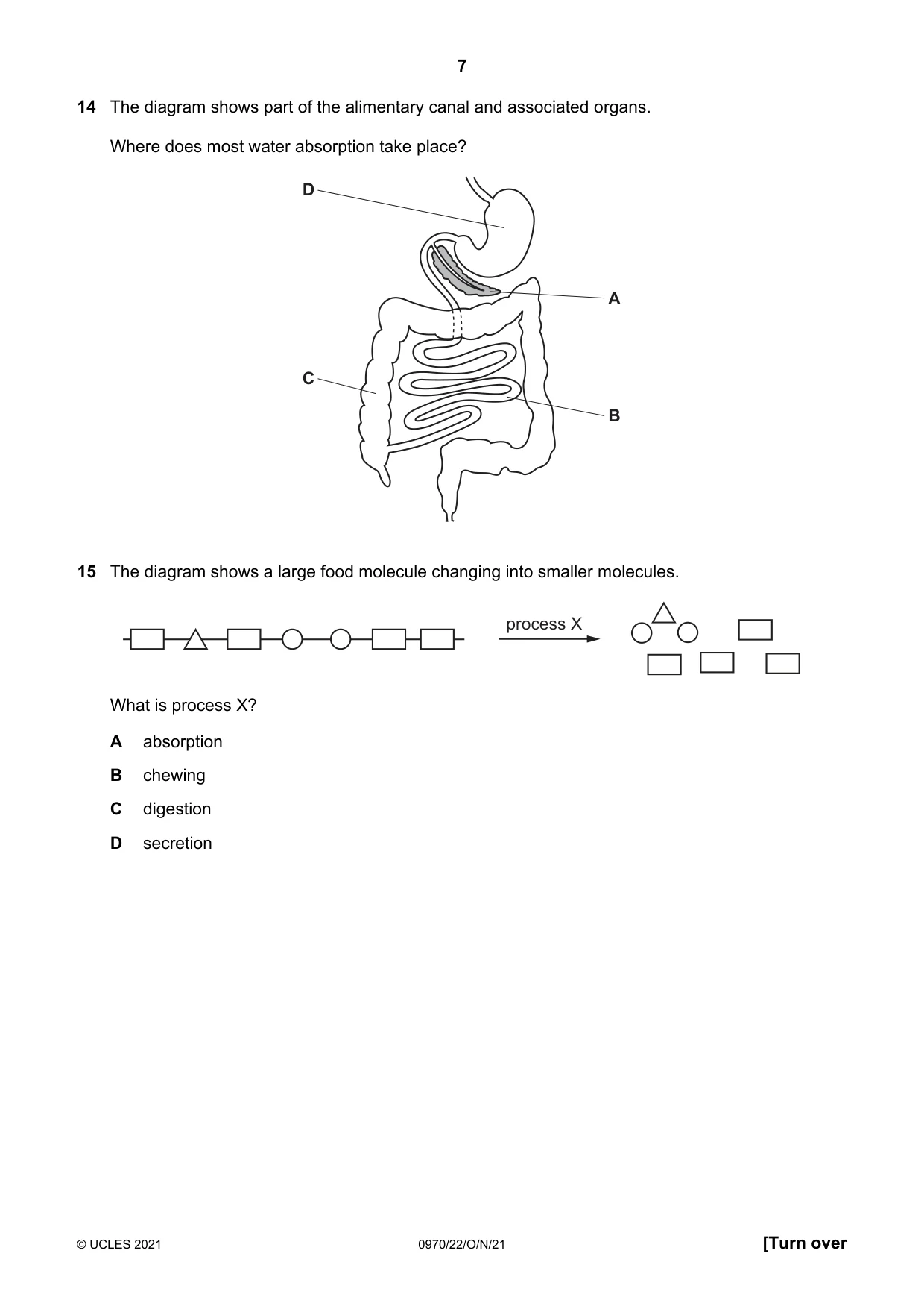 Cambridge IGCSE Biology (9-1) 0970 2021 Oct/Nov Paper 2 · Variant 2 question paper, page 7 of 16