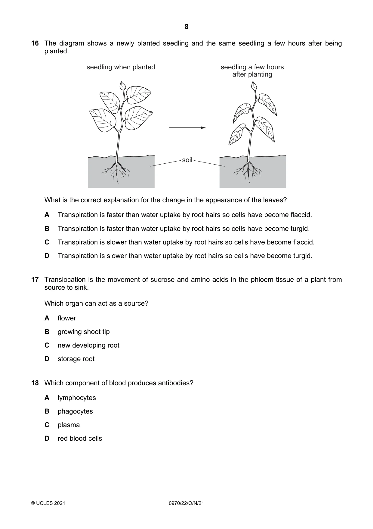 Cambridge IGCSE Biology (9-1) 0970 2021 Oct/Nov Paper 2 · Variant 2 question paper, page 8 of 16