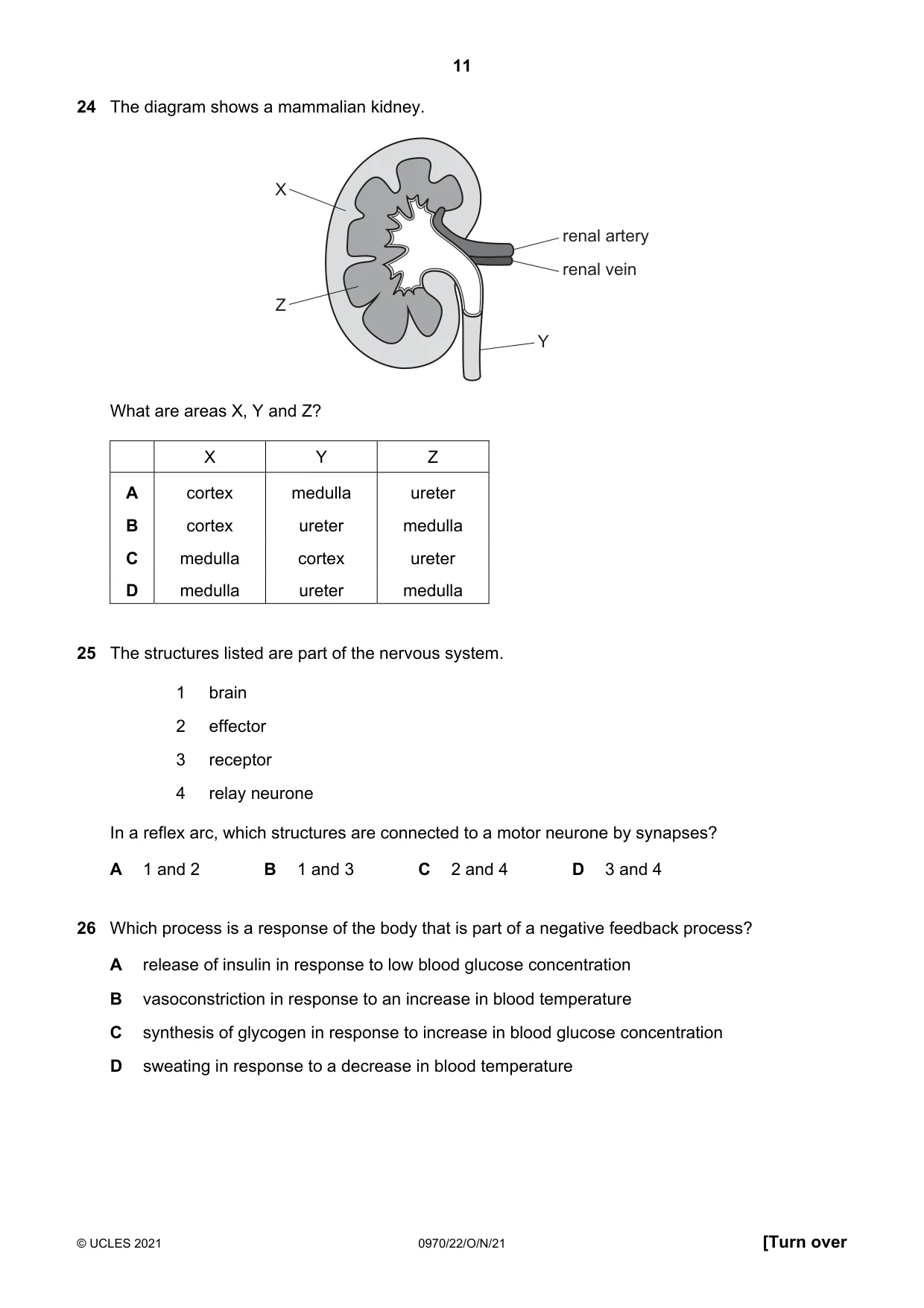 Cambridge IGCSE Biology (9-1) 0970 2021 Oct/Nov Paper 2 · Variant 2 question paper, page 11 of 16