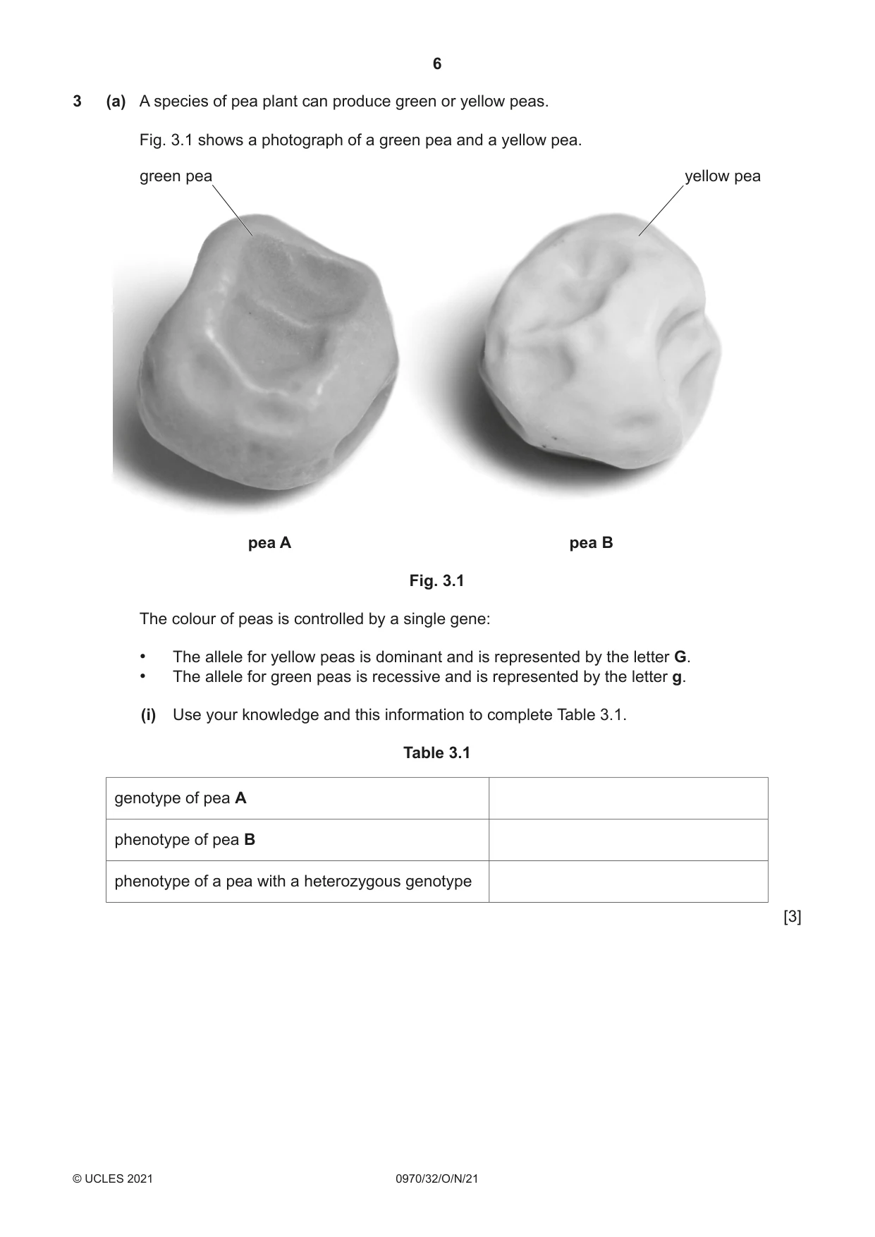 Cambridge IGCSE Biology (9-1) 0970 2021 Oct/Nov Paper 3 · Variant 2 question paper, page 6 of 20