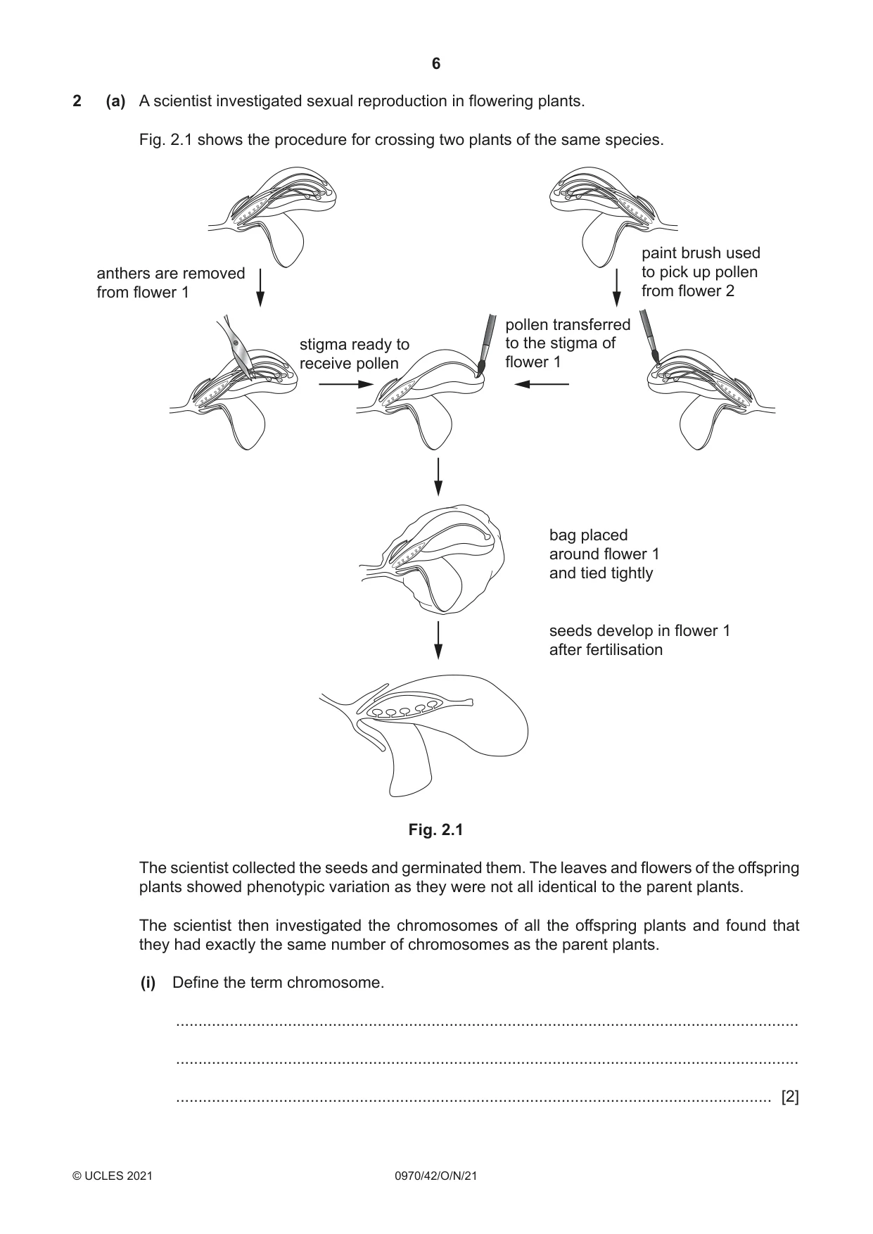 Cambridge IGCSE Biology (9-1) 0970 2021 Oct/Nov Paper 4 · Variant 2 question paper, page 6 of 20