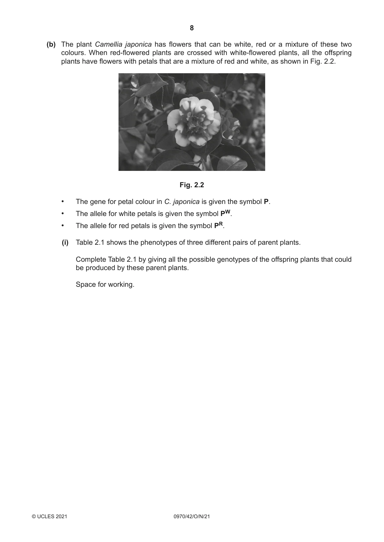 Cambridge IGCSE Biology (9-1) 0970 2021 Oct/Nov Paper 4 · Variant 2 question paper, page 8 of 20