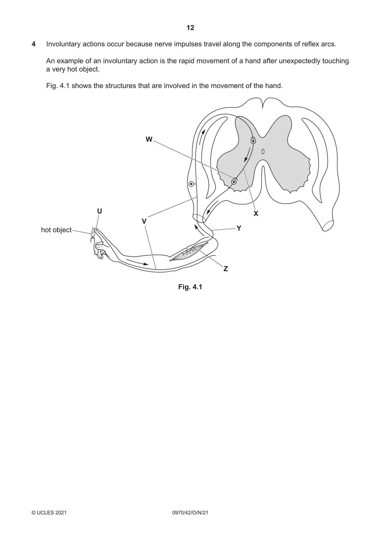 Cambridge IGCSE Biology (9-1) 0970 2021 Oct/Nov Paper 4 · Variant 2 question paper, page 12 of 20