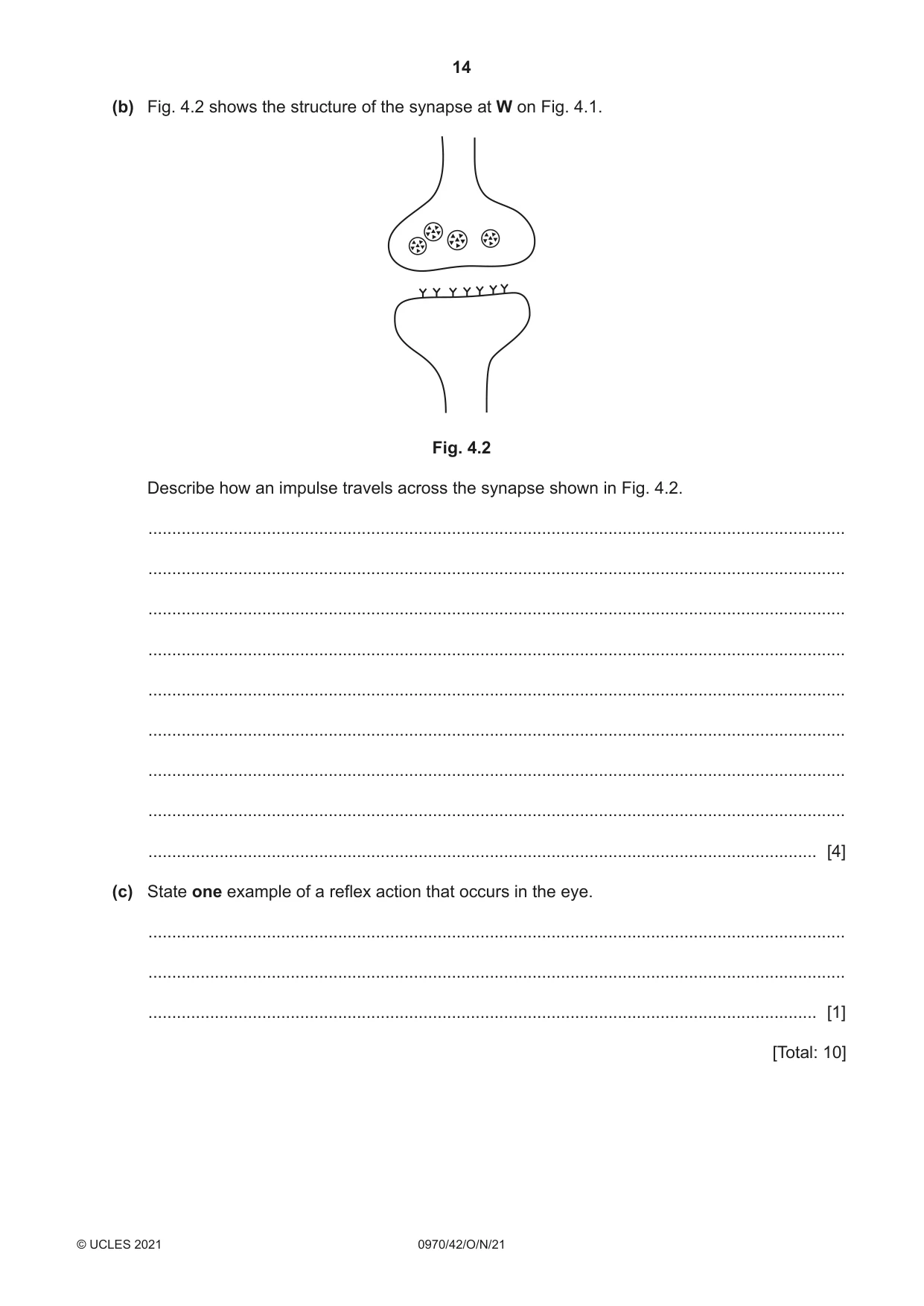 Cambridge IGCSE Biology (9-1) 0970 2021 Oct/Nov Paper 4 · Variant 2 question paper, page 14 of 20