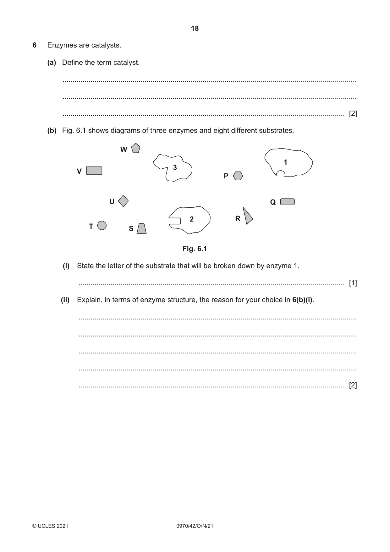 Cambridge IGCSE Biology (9-1) 0970 2021 Oct/Nov Paper 4 · Variant 2 question paper, page 18 of 20