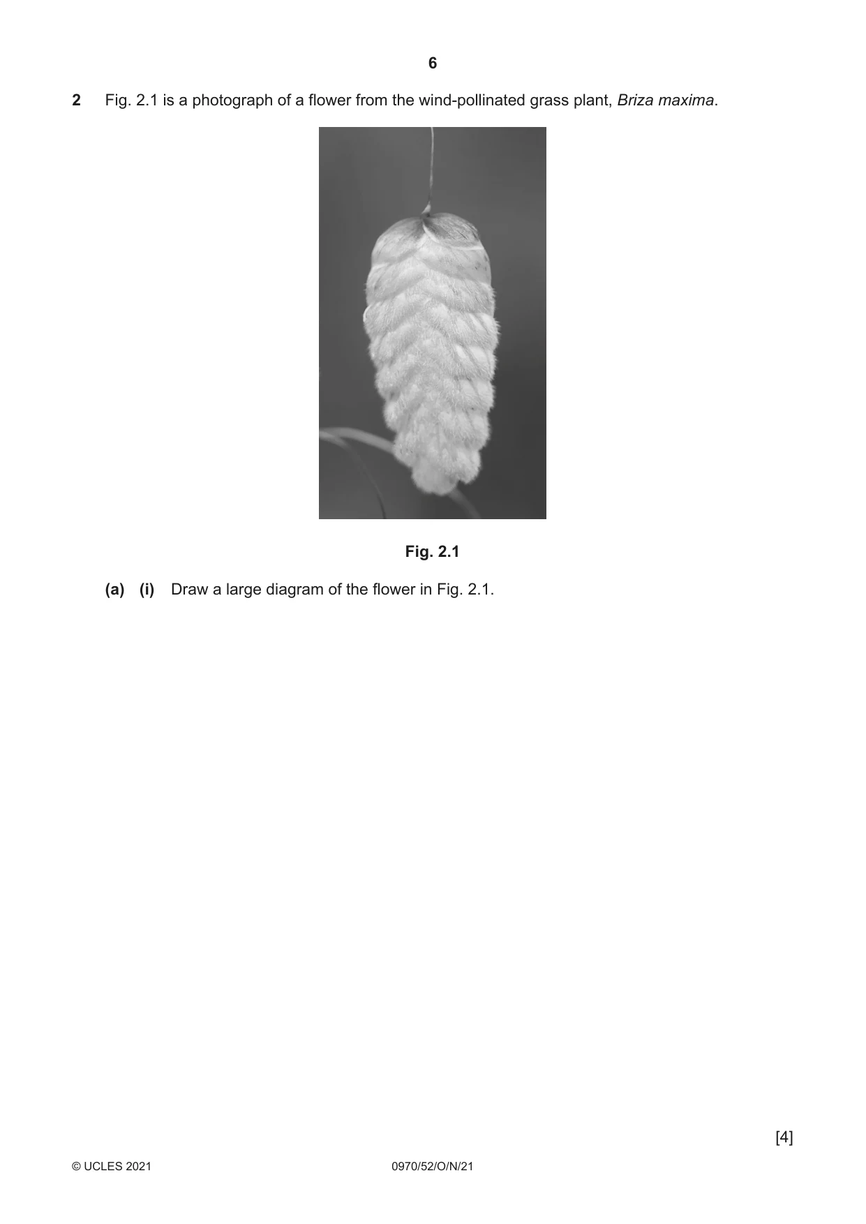 Cambridge IGCSE Biology (9-1) 0970 2021 Oct/Nov Paper 5 · Variant 2 question paper, page 6 of 12