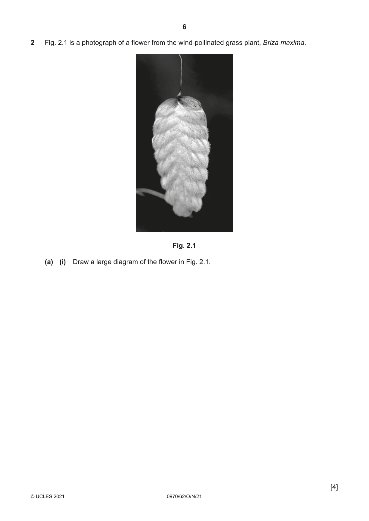 Cambridge IGCSE Biology (9-1) 0970 2021 Oct/Nov Paper 6 · Variant 2 question paper, page 6 of 12