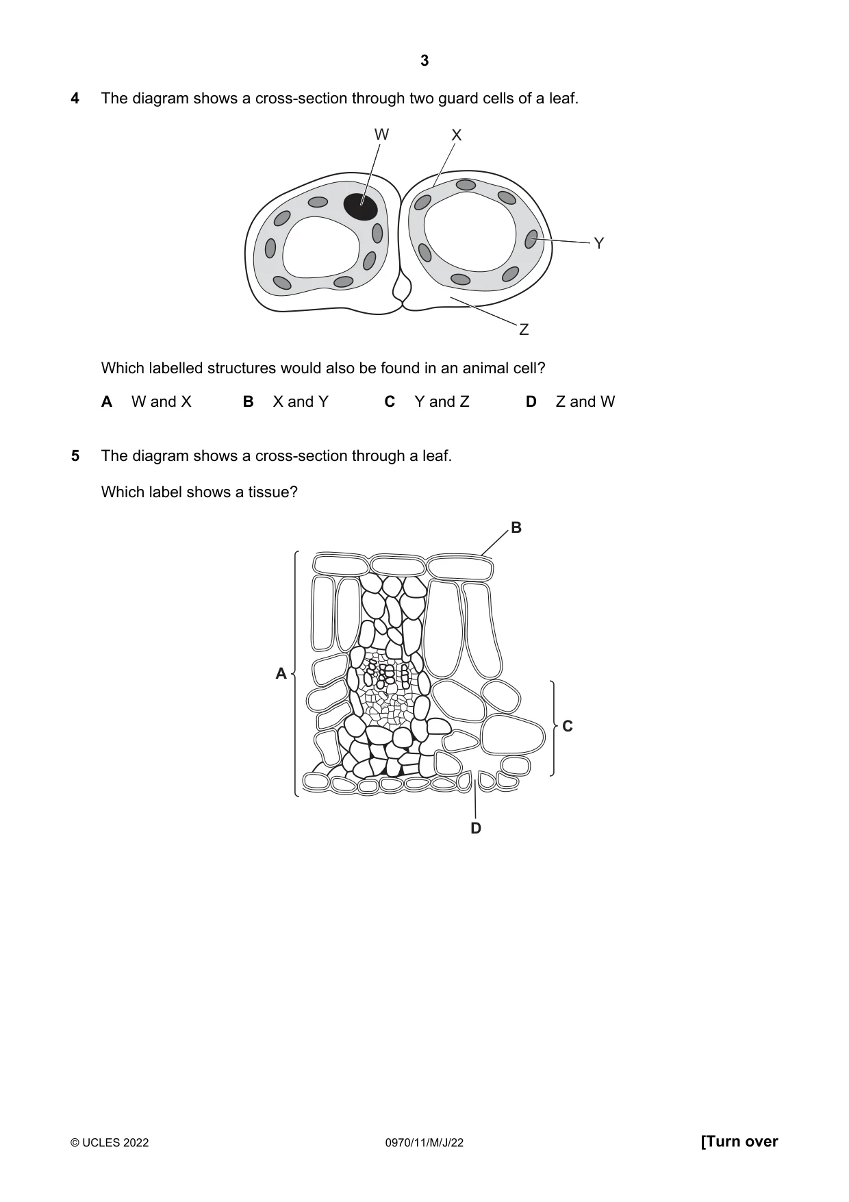 Cambridge IGCSE Biology (9-1) 0970 2022 May/June Paper 1 · Variant 1 question paper, page 3 of 16