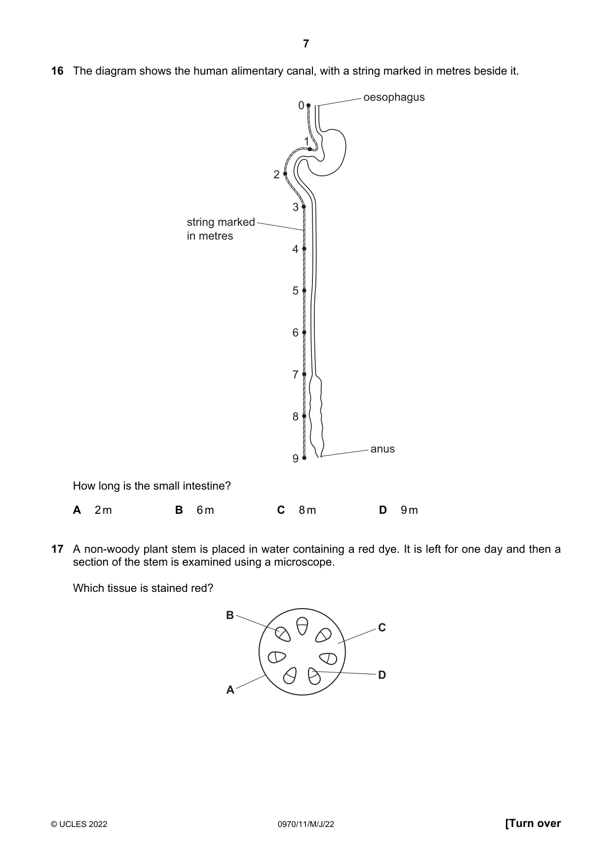 Cambridge IGCSE Biology (9-1) 0970 2022 May/June Paper 1 · Variant 1 question paper, page 7 of 16