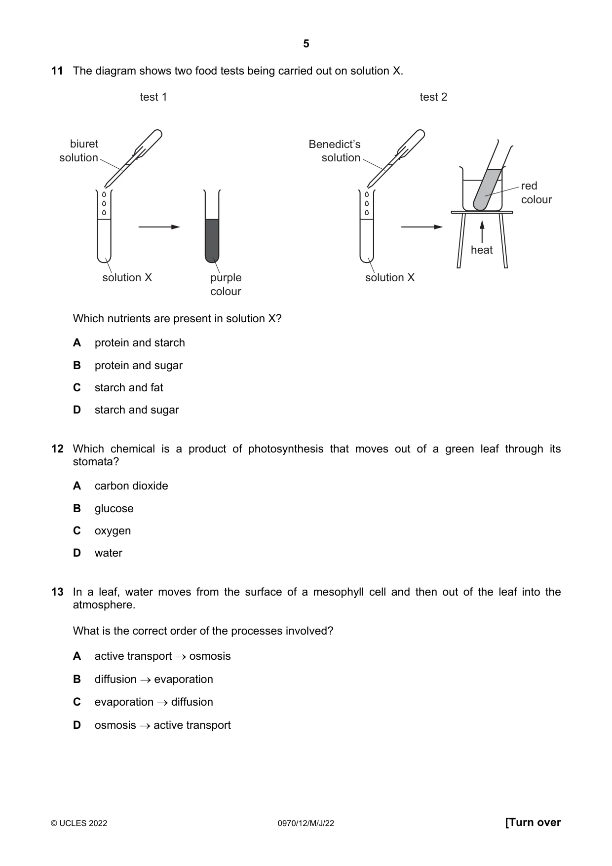 Cambridge IGCSE Biology (9-1) 0970 2022 May/June Paper 1 · Variant 2 question paper, page 5 of 20