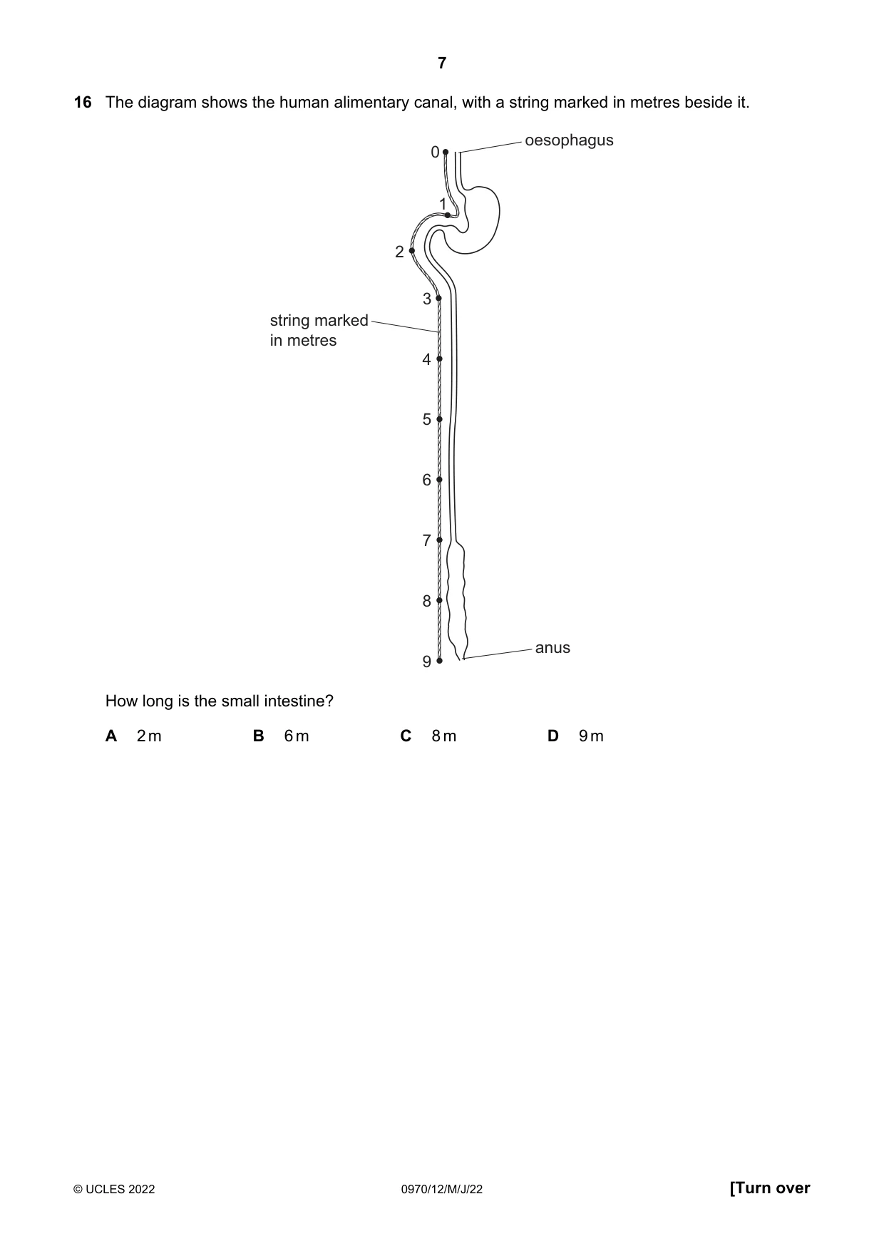 Cambridge IGCSE Biology (9-1) 0970 2022 May/June Paper 1 · Variant 2 question paper, page 7 of 20