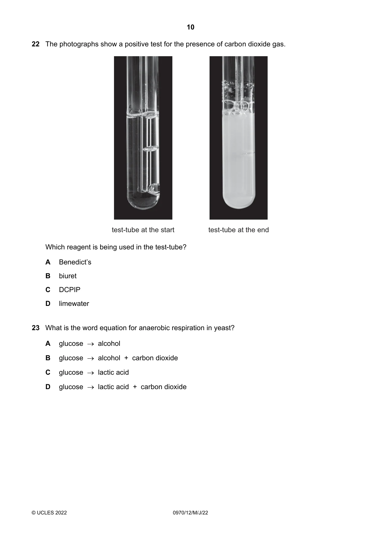 Cambridge IGCSE Biology (9-1) 0970 2022 May/June Paper 1 · Variant 2 question paper, page 10 of 20