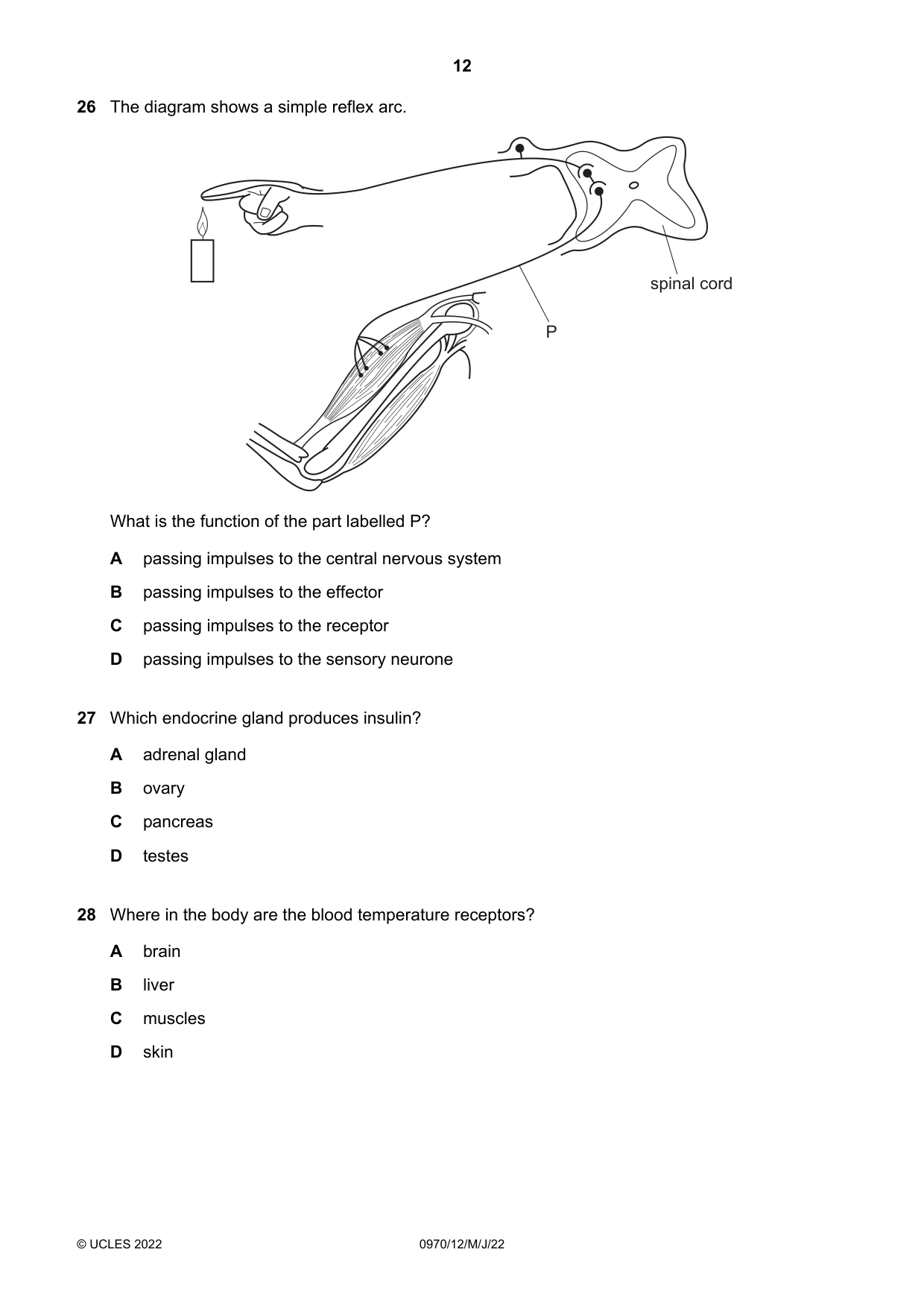 Cambridge IGCSE Biology (9-1) 0970 2022 May/June Paper 1 · Variant 2 question paper, page 12 of 20