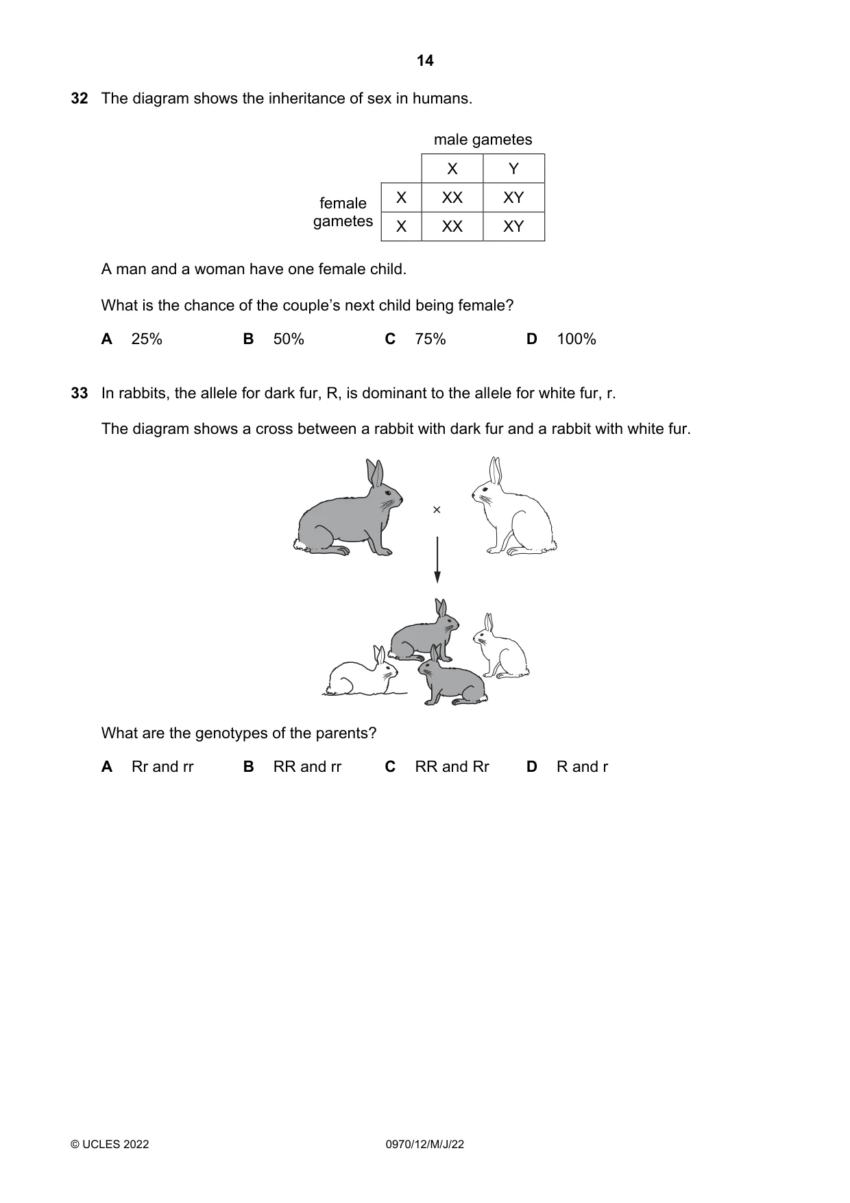 Cambridge IGCSE Biology (9-1) 0970 2022 May/June Paper 1 · Variant 2 question paper, page 14 of 20