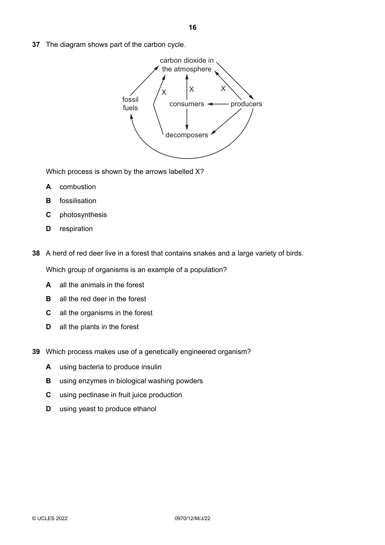 Cambridge IGCSE Biology (9-1) 0970 2022 May/June Paper 1 · Variant 2 question paper, page 16 of 20
